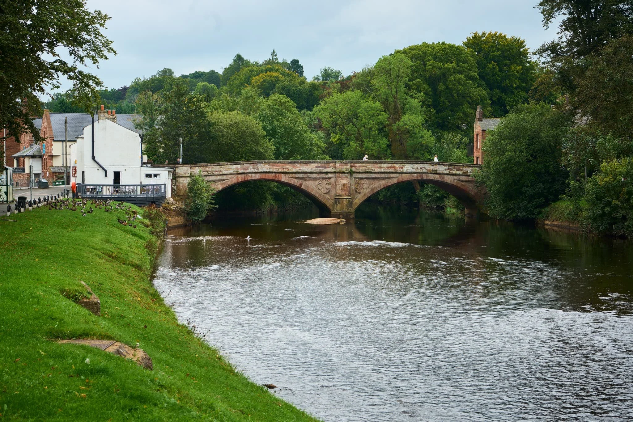 Appleby_Small 08