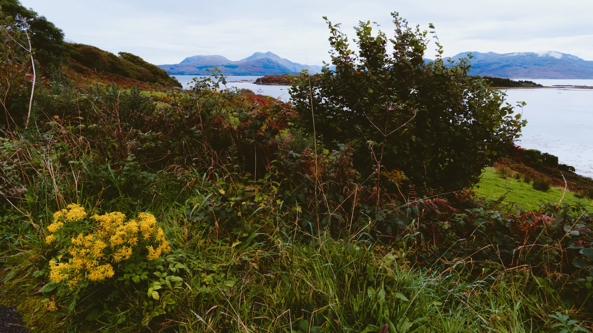 Skye19 Sleat 02