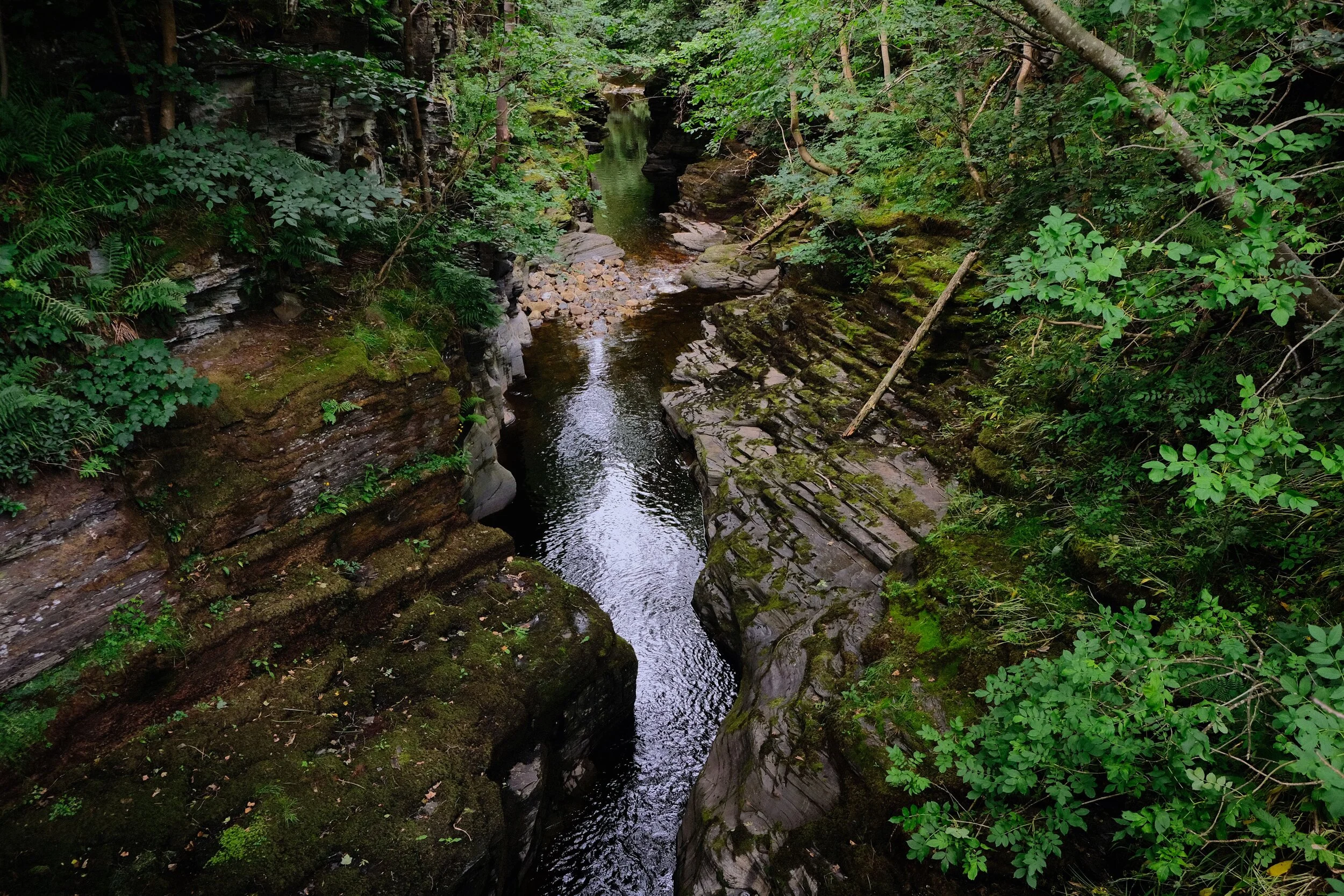 This was a rather pleasant discovery! Just below Windshaw Bridge the South Tyne river has cut a fine gorge out.