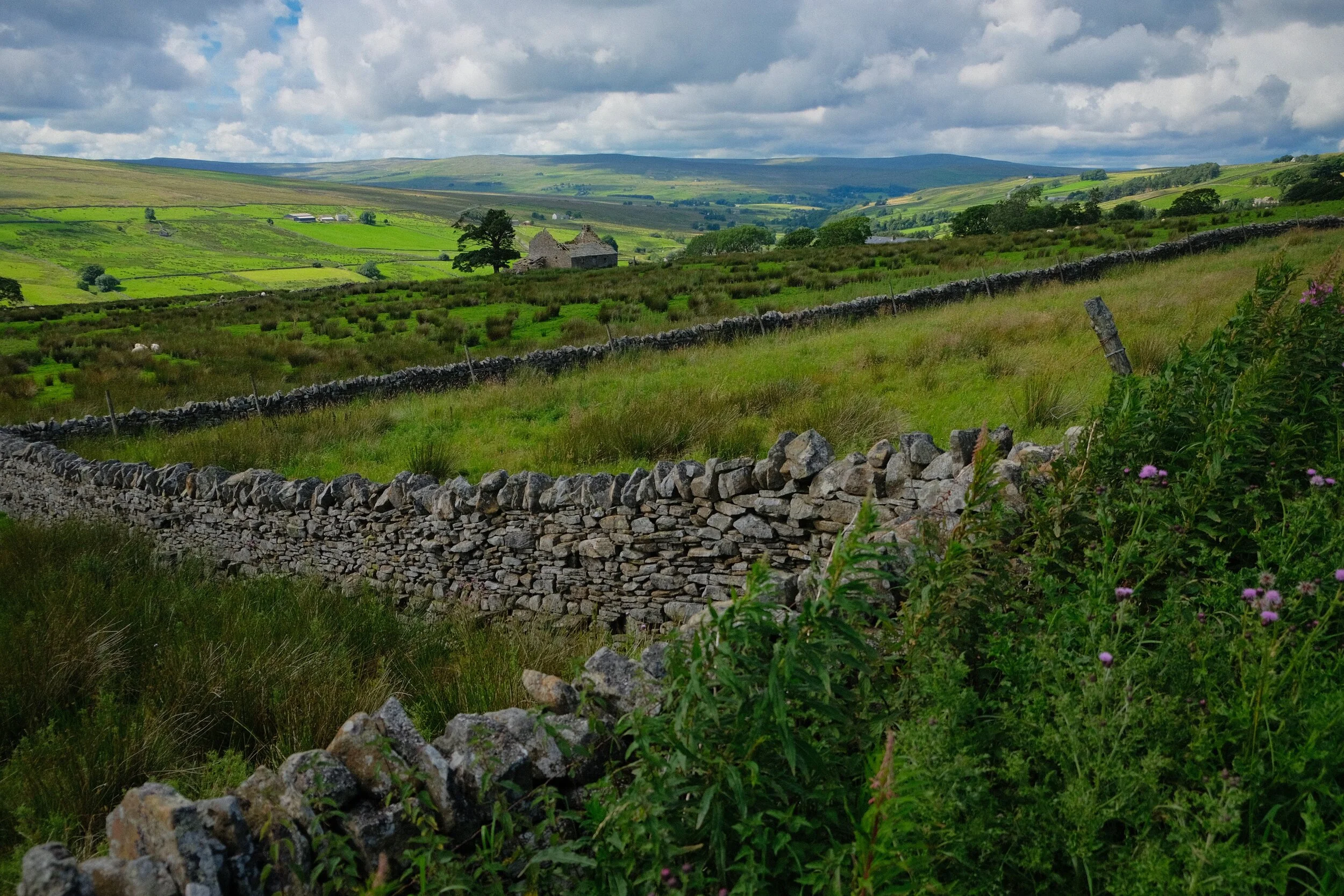 This part of the North Pennines feels very similar to Swaledale , for me.