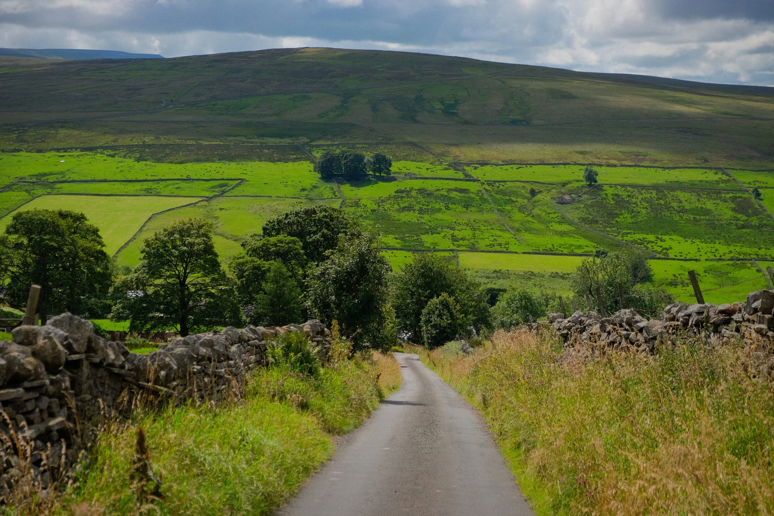 Heading down Loaning Head lane, down the valley back to Garrigill.
