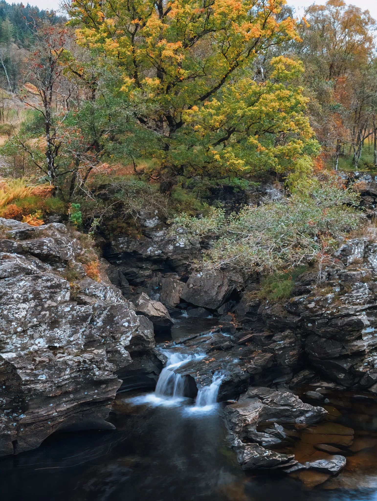 After circling back to the car, we made a quick additional trip into Glen Orchy to checkout the series of falls of Eas Urchaidh .