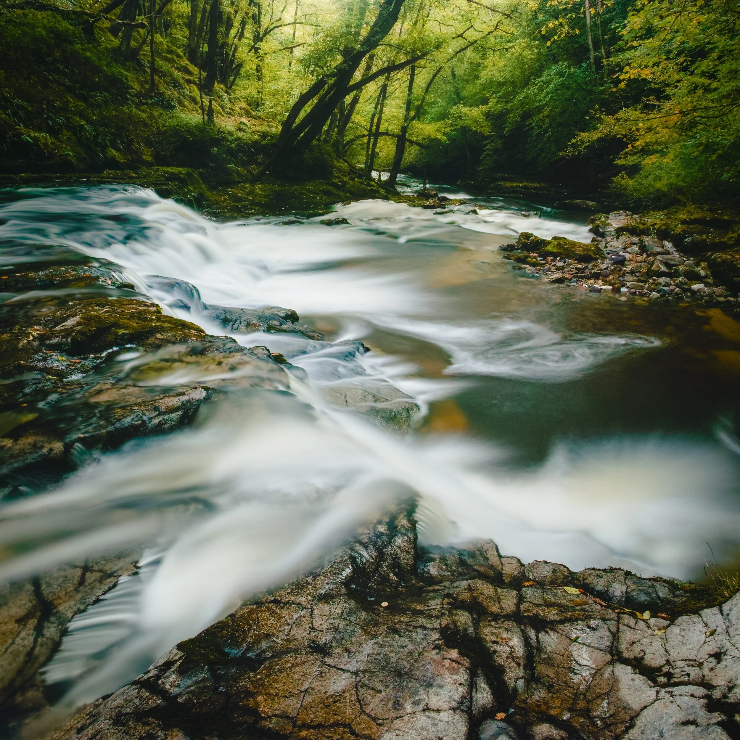 A series of cascades tumbling toward Pontneddfechan, with stronger afternoon light pouring through the canopy of the forest ravine.
