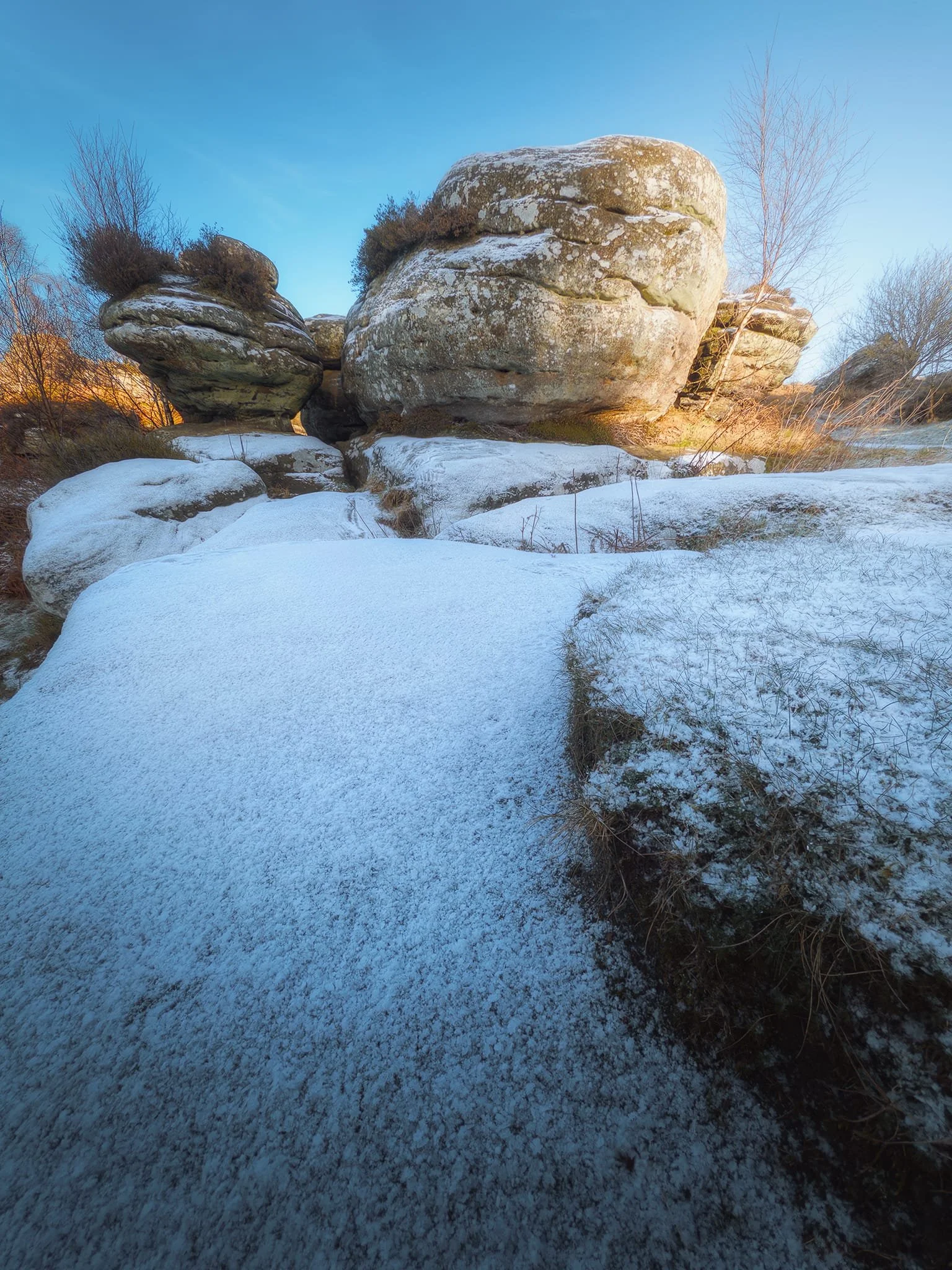 A gentle dusting of snow simplifies the textures and shapes in this composition.
