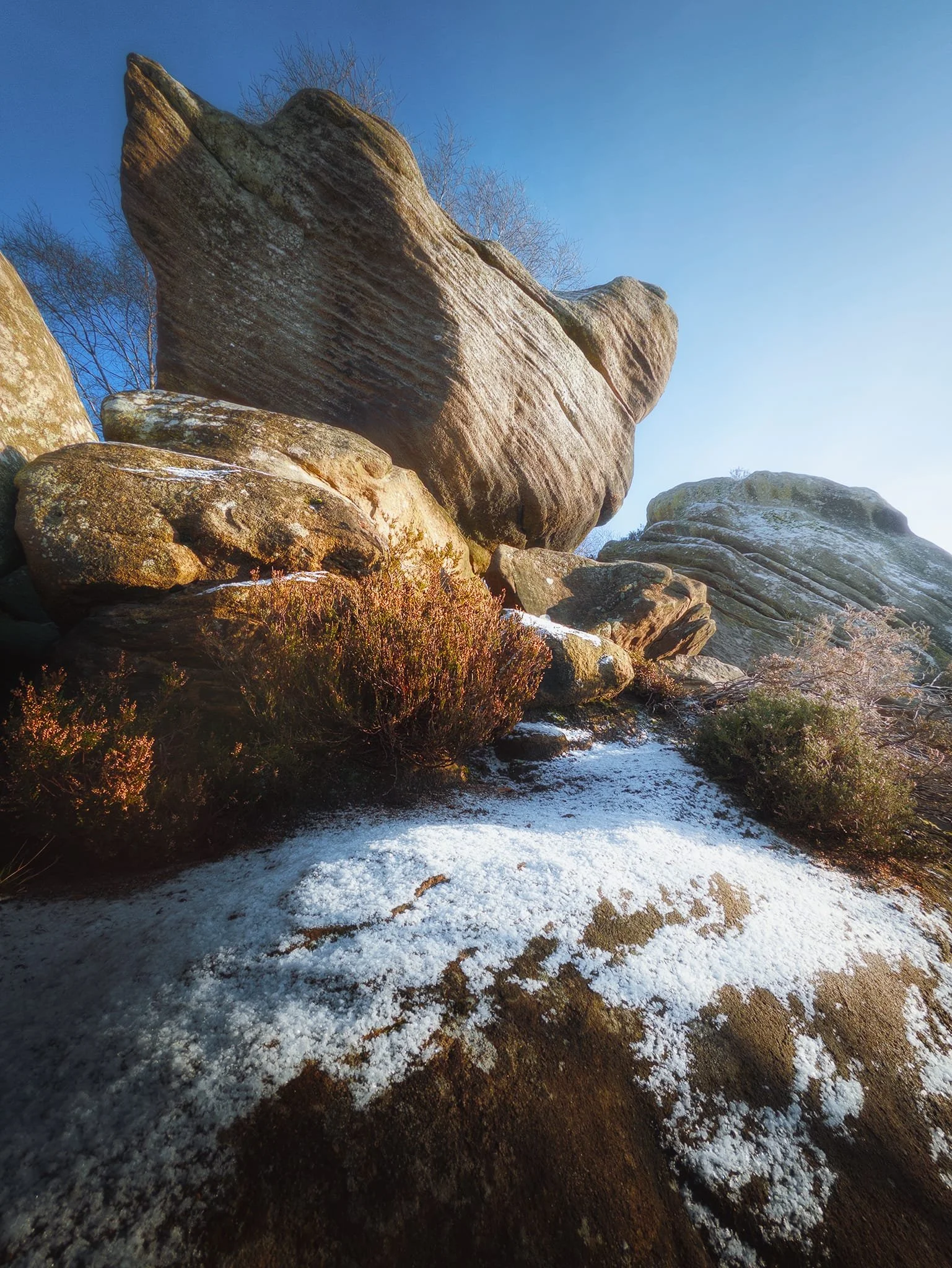 Probably my favourite shot of the day.