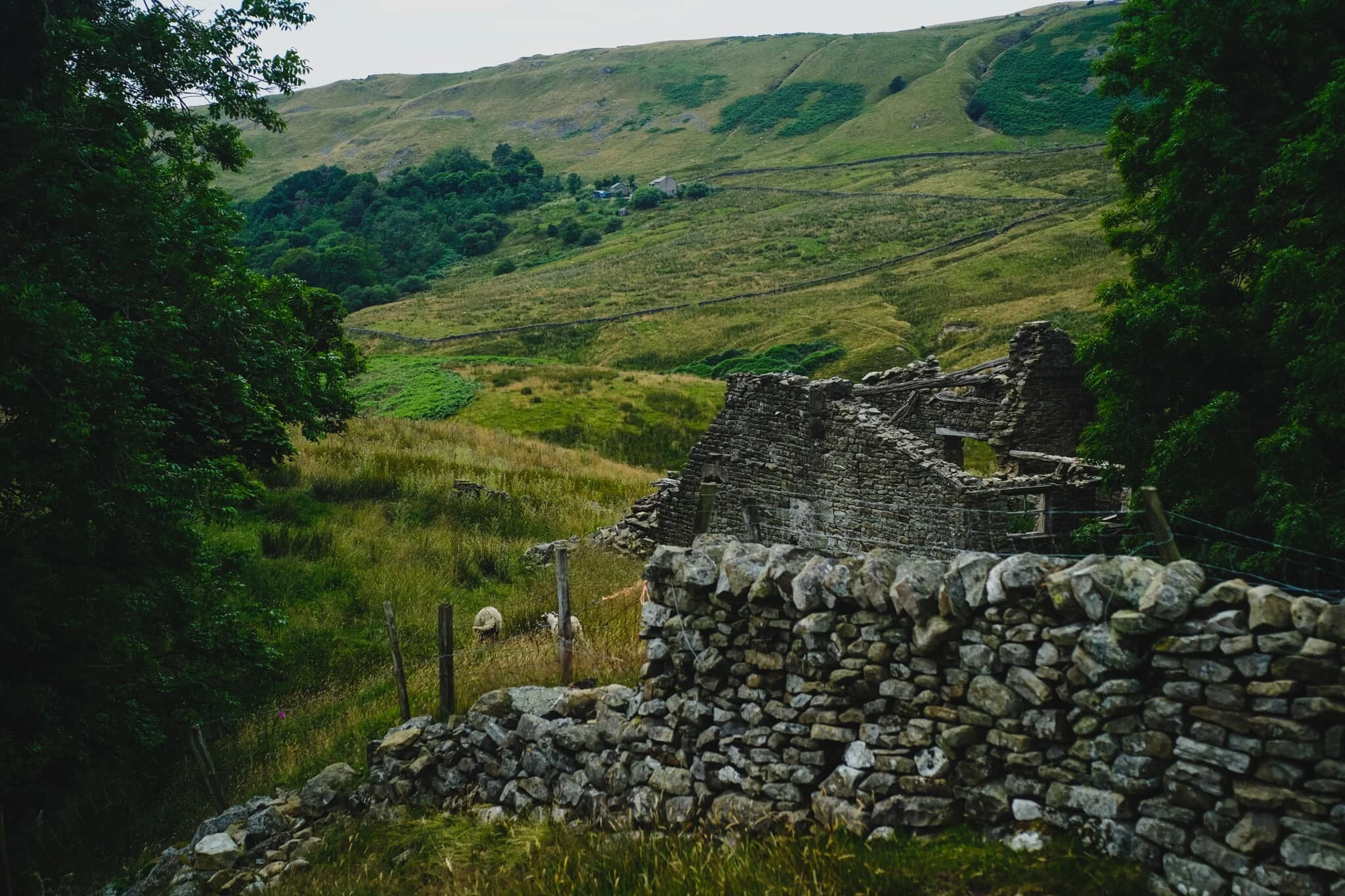 The ruins of Hellot Scales Barn, which serves now as a signpost of sorts for locating Ease Gill Kirk.