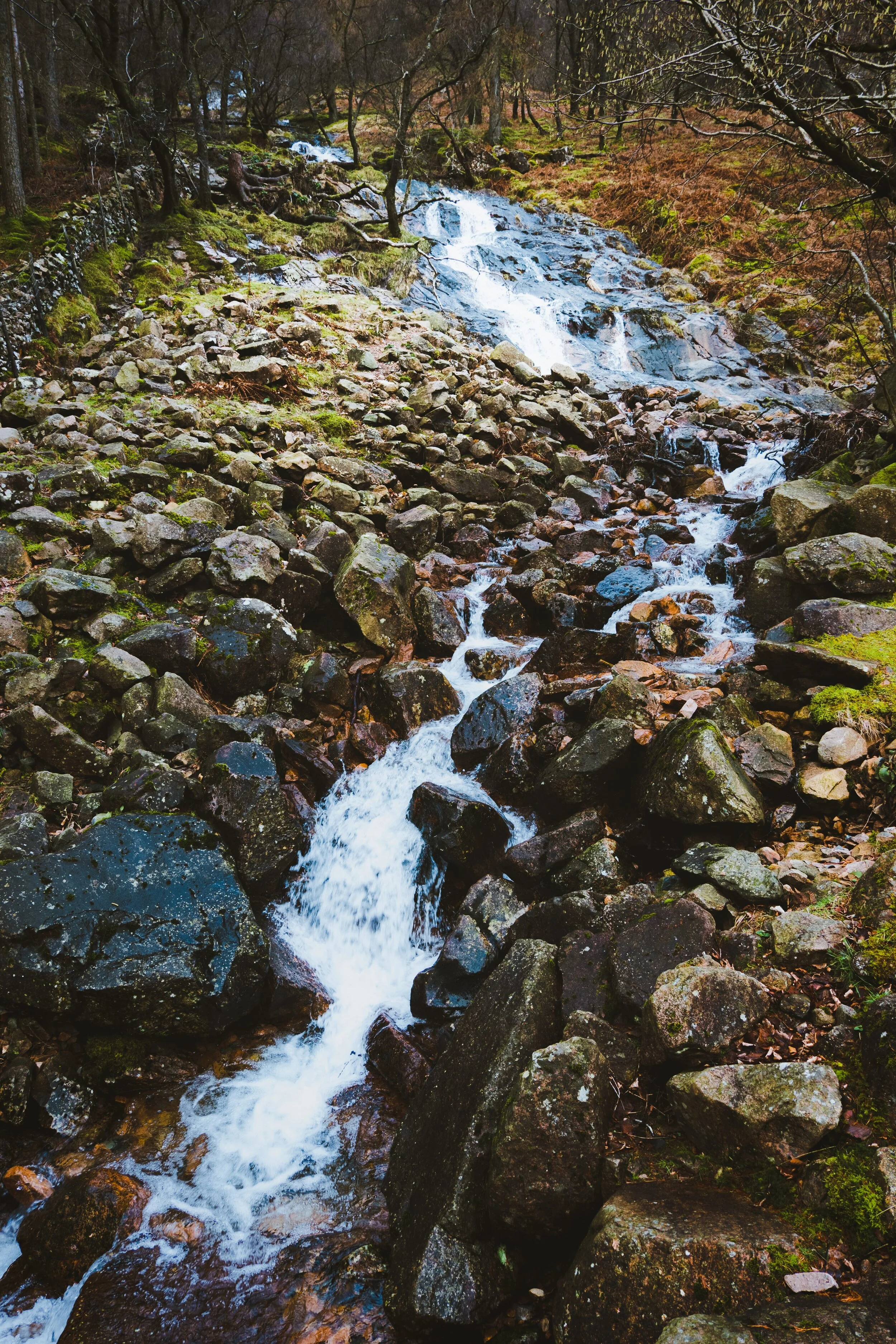 Soumilk Gill from its foot, which exits right near the shores of Buttermere.