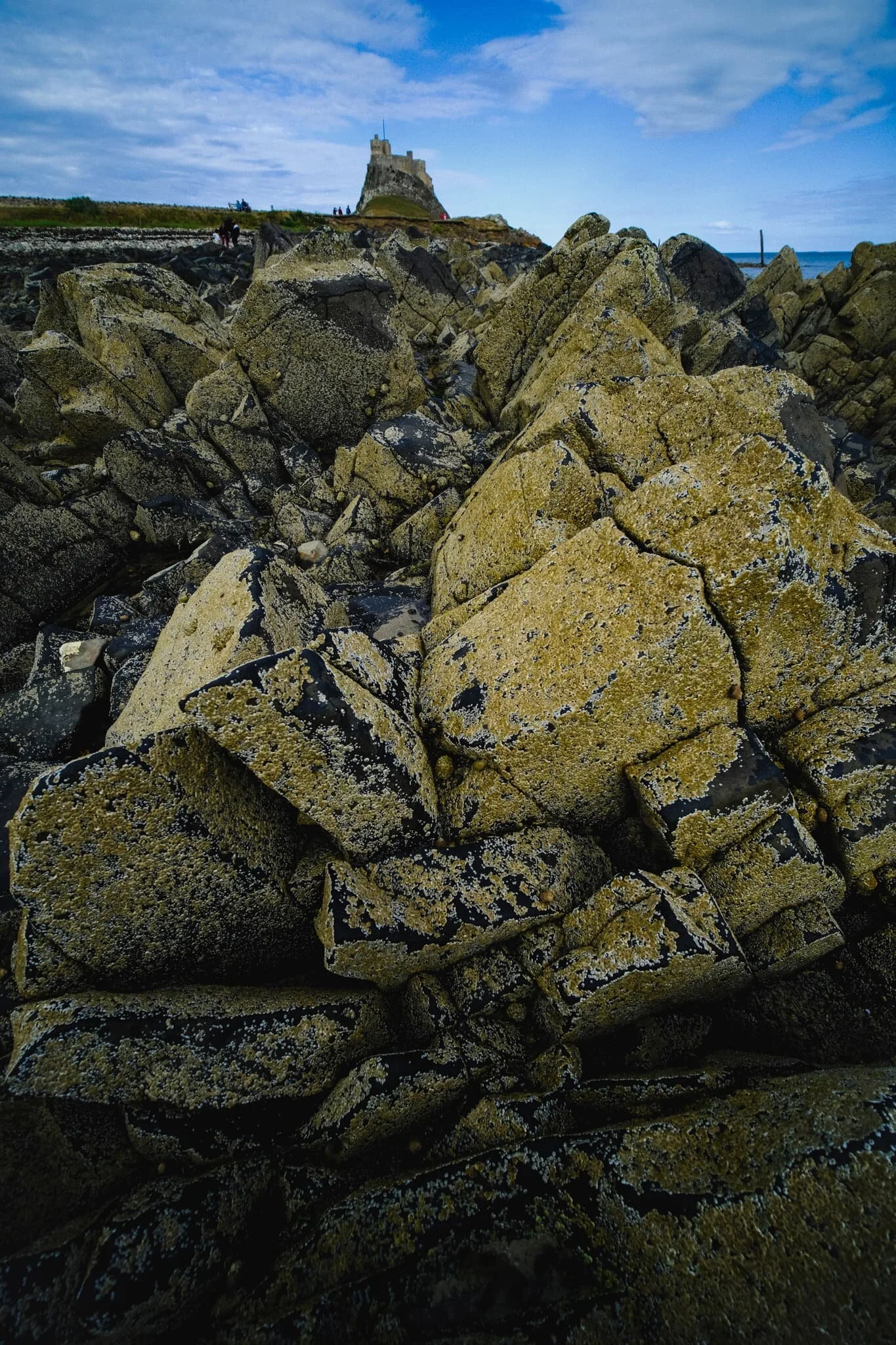 I remembered a bunch of magnificently-shaped boulders along the coast from our last time here, way back in 2013.