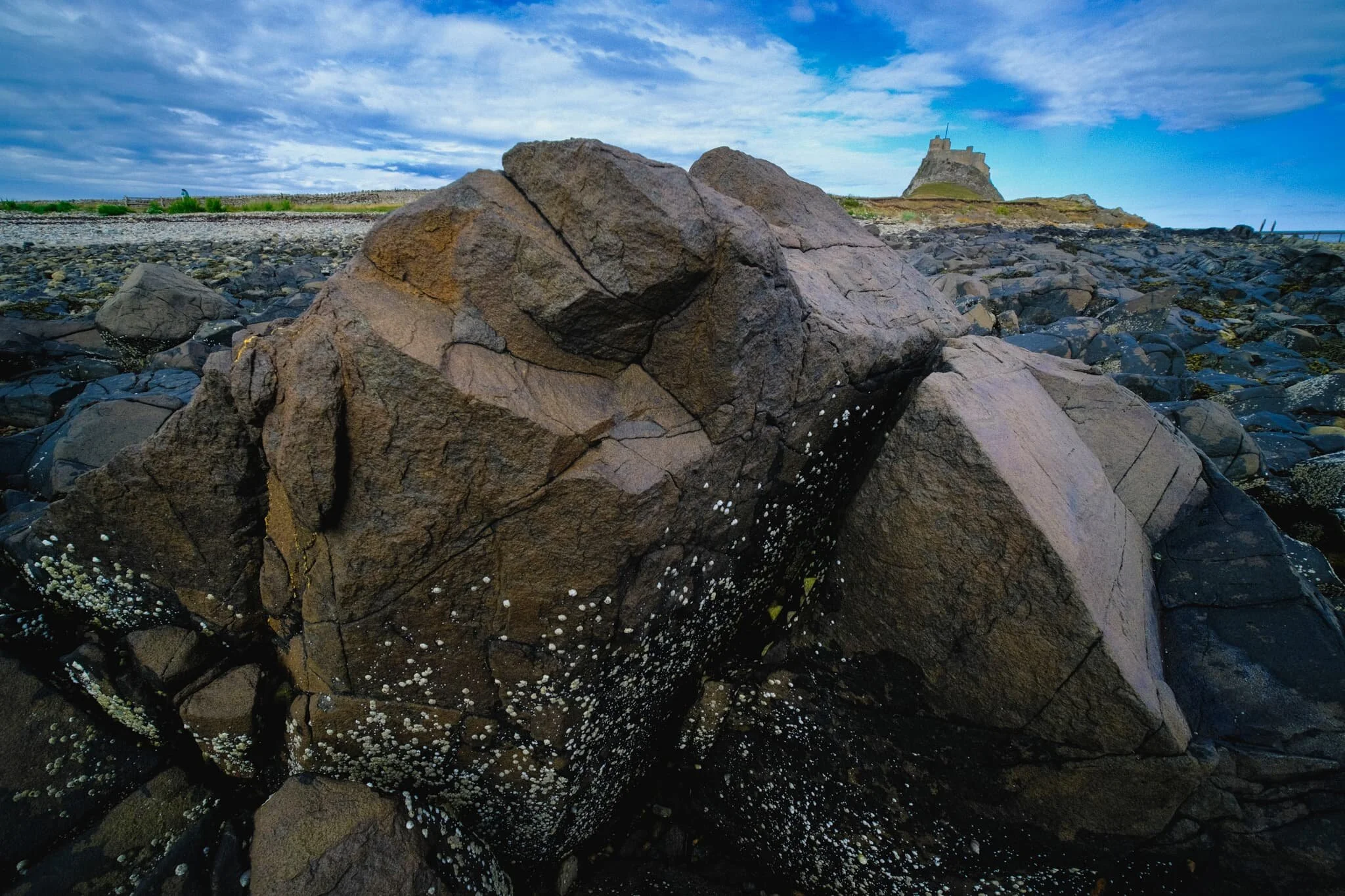 Though Holy Island is tidal and largely made of mudflats, sand dunes, and salt marshes, there’s also a good chunk of volcanic rock, especially around the southeastern part of the island.