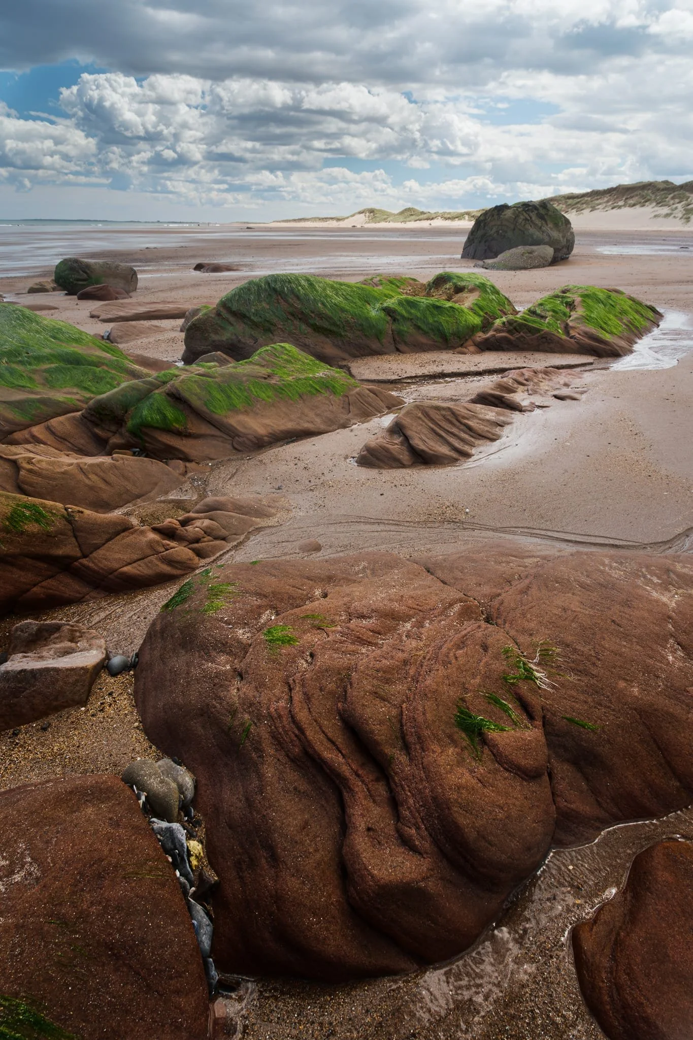 At Cheswick Black Rocks, a large part of the formations here are a pink sandstone, laid down during the middle of the Carboniferous period some 311–326 million years ago. Wave and wind action combined with fine sand grains has carved these beautiful exposed boulders.