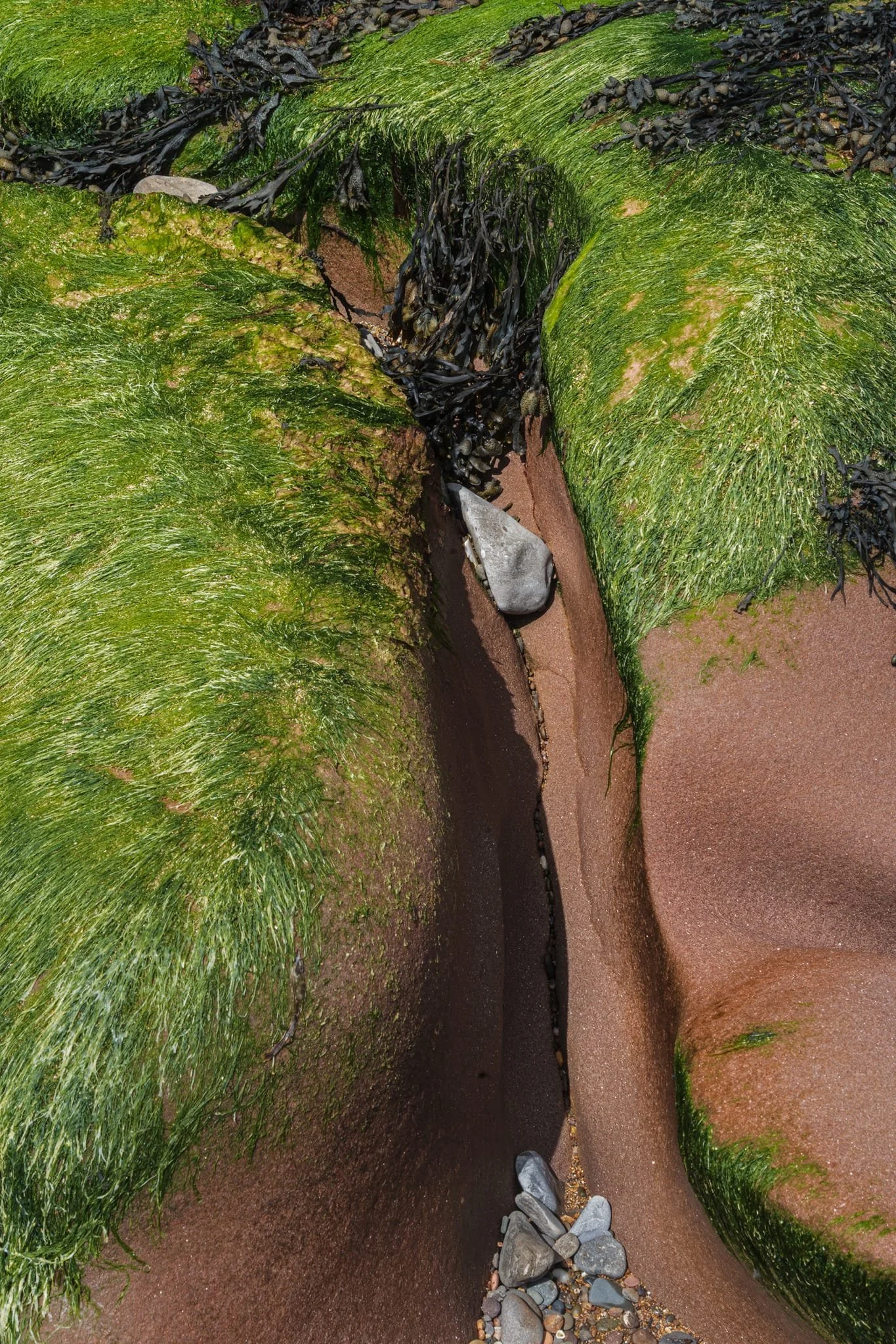 Millions of years of sea erosion carves out hidden little channels like this in the sandstone.