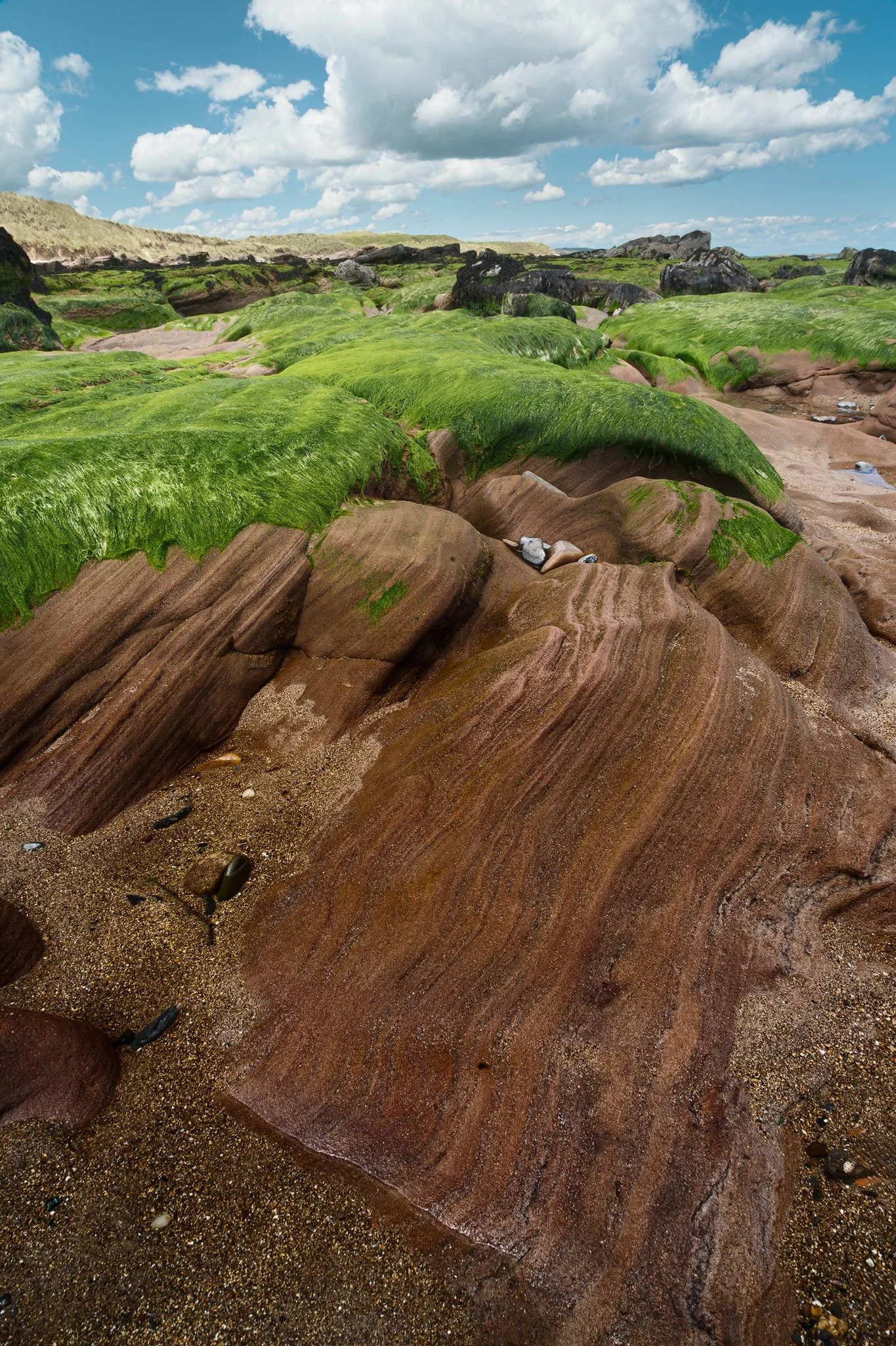 Cross-bedded sandstone, combined with coastal erosion, has created these wonderful formations, like the ancient sea waves have been permanently recorded in the rocks. In parts, the seaweed was almost like a giant expanse of carpet.
