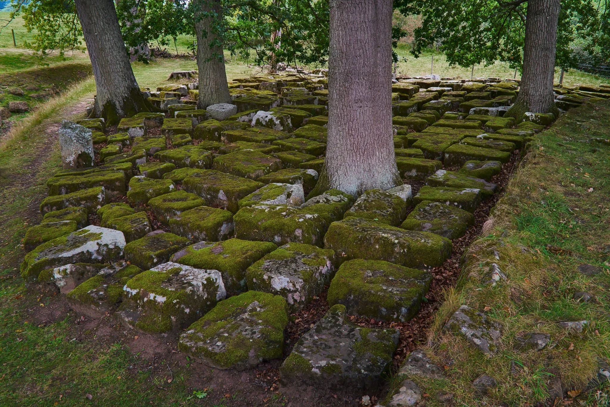 This is the “Stone Park”, near the abutment. These stone blocks were recovered during the excavation of the site in the 1980s.