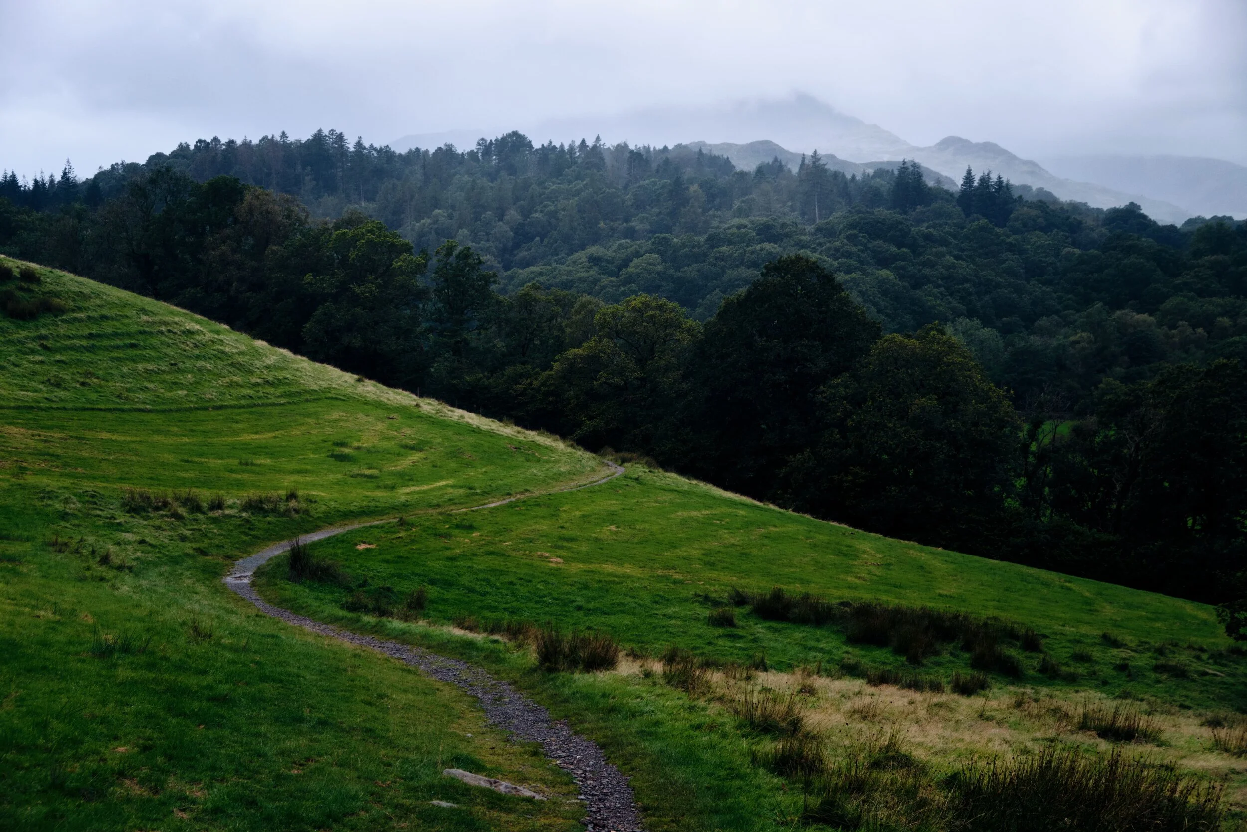 The way to the woods that houses Colwith Force. In the distance the Tilberthwaite fells are obscured by the incoming rain.