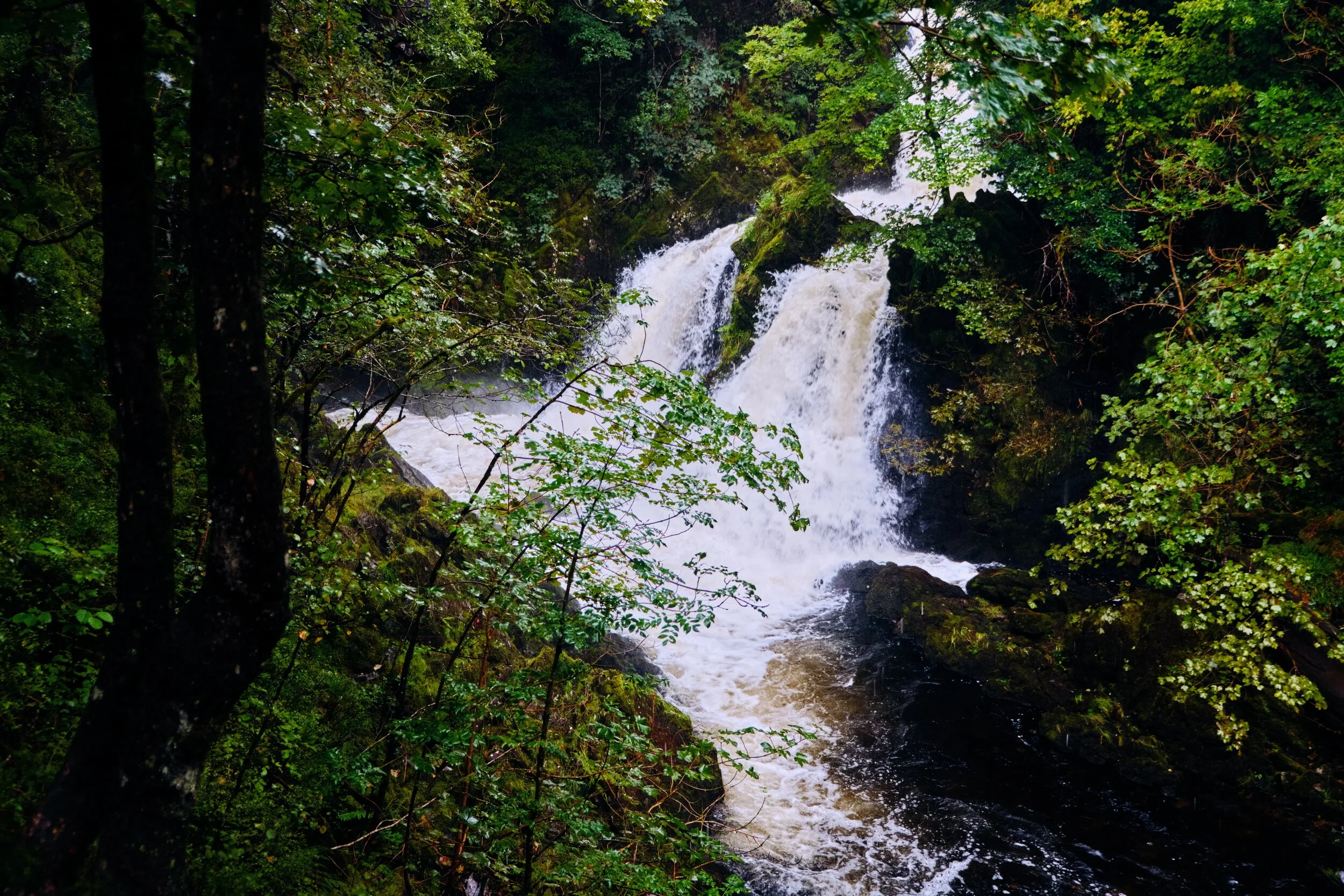 Dscf2459_Export
