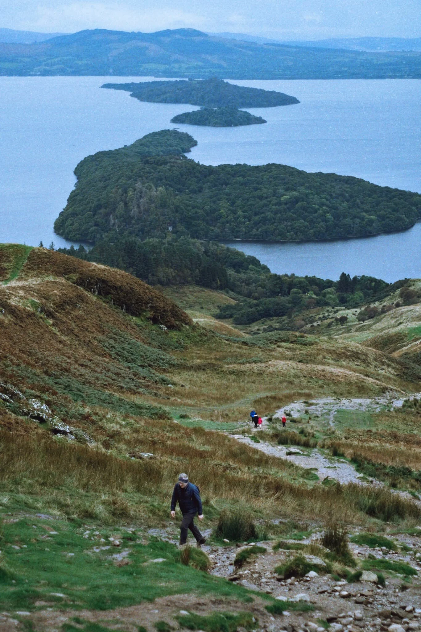 Conic Hill, and the islands of Inchcailloch and Inchmurrin, mark the Highland Boundary Fault, where two prehistoric continents (one containing Scotland, the other containing England) smashed into each other. Absolutely fascinating.
