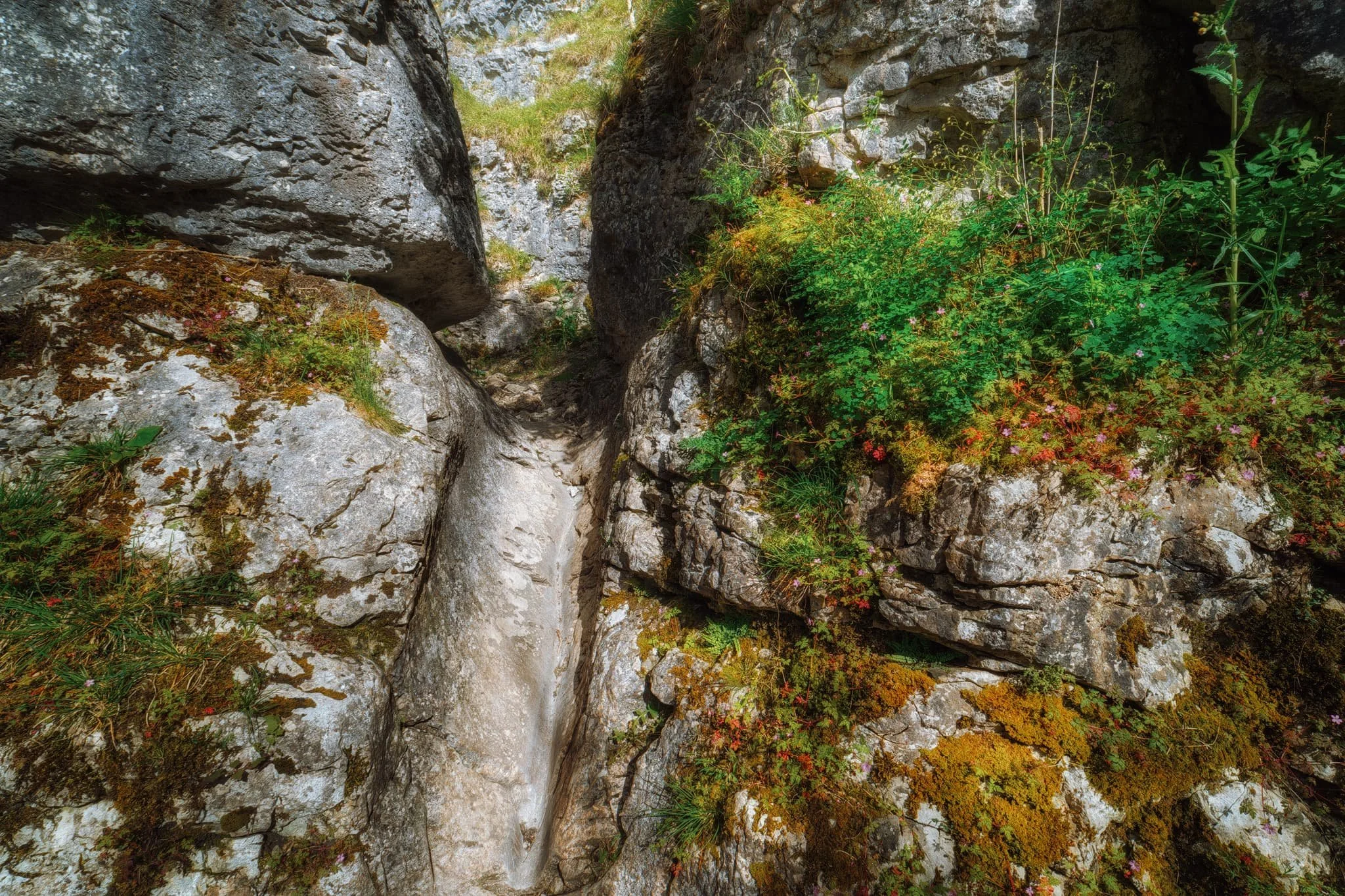 The only way up and out of the gorge, a tiny person-wide chute, evidence of where prehistoric water would’ve raged through this gorge.