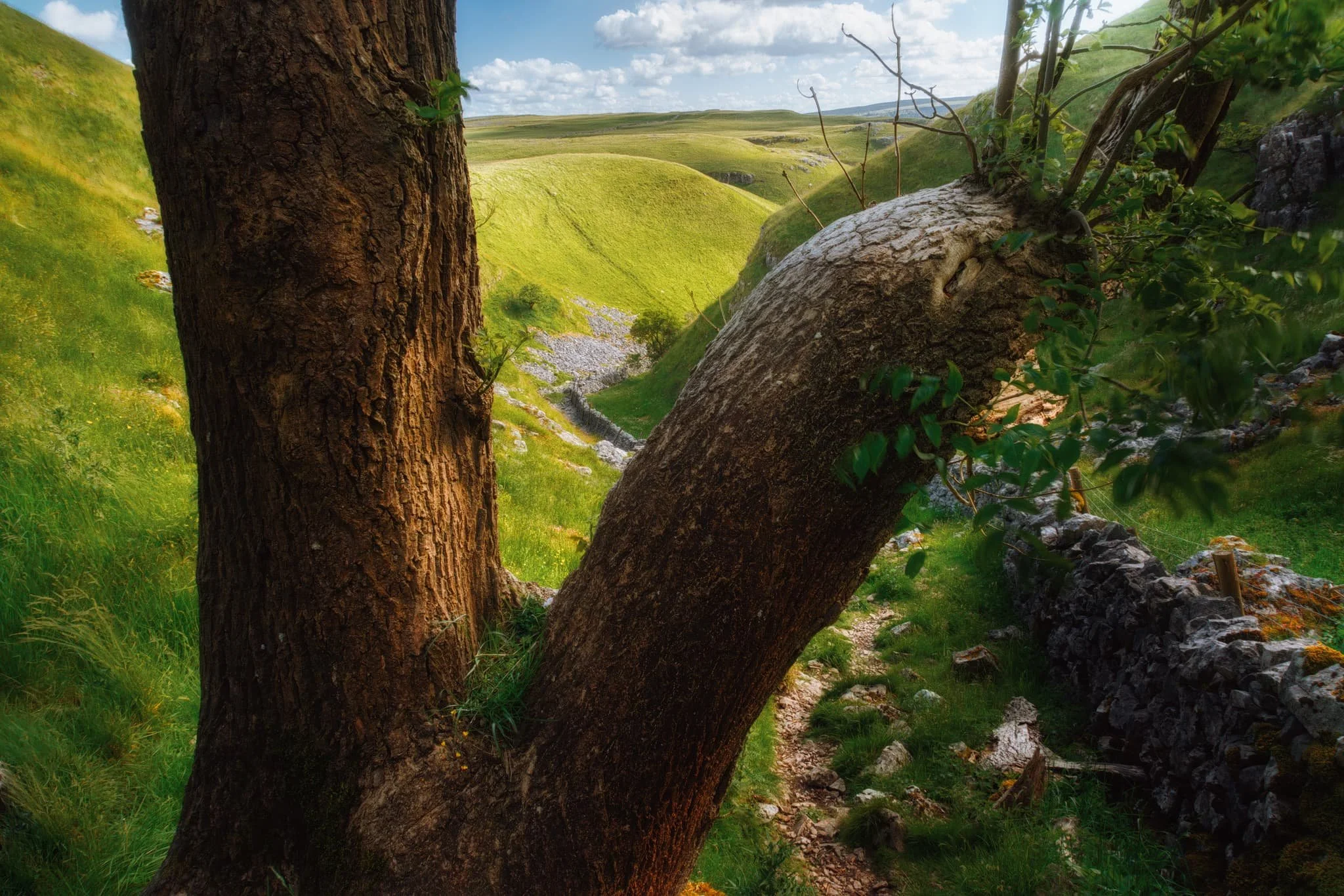 We scramble our way up and out of the gorge, but not before I turn back around and nab this composition from behind one of the “guardians”, using them to frame the gorge back downstream.