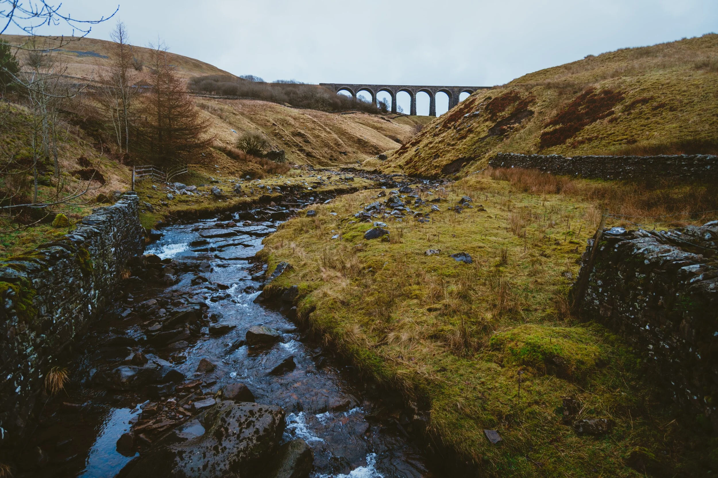 Dentdale 03
