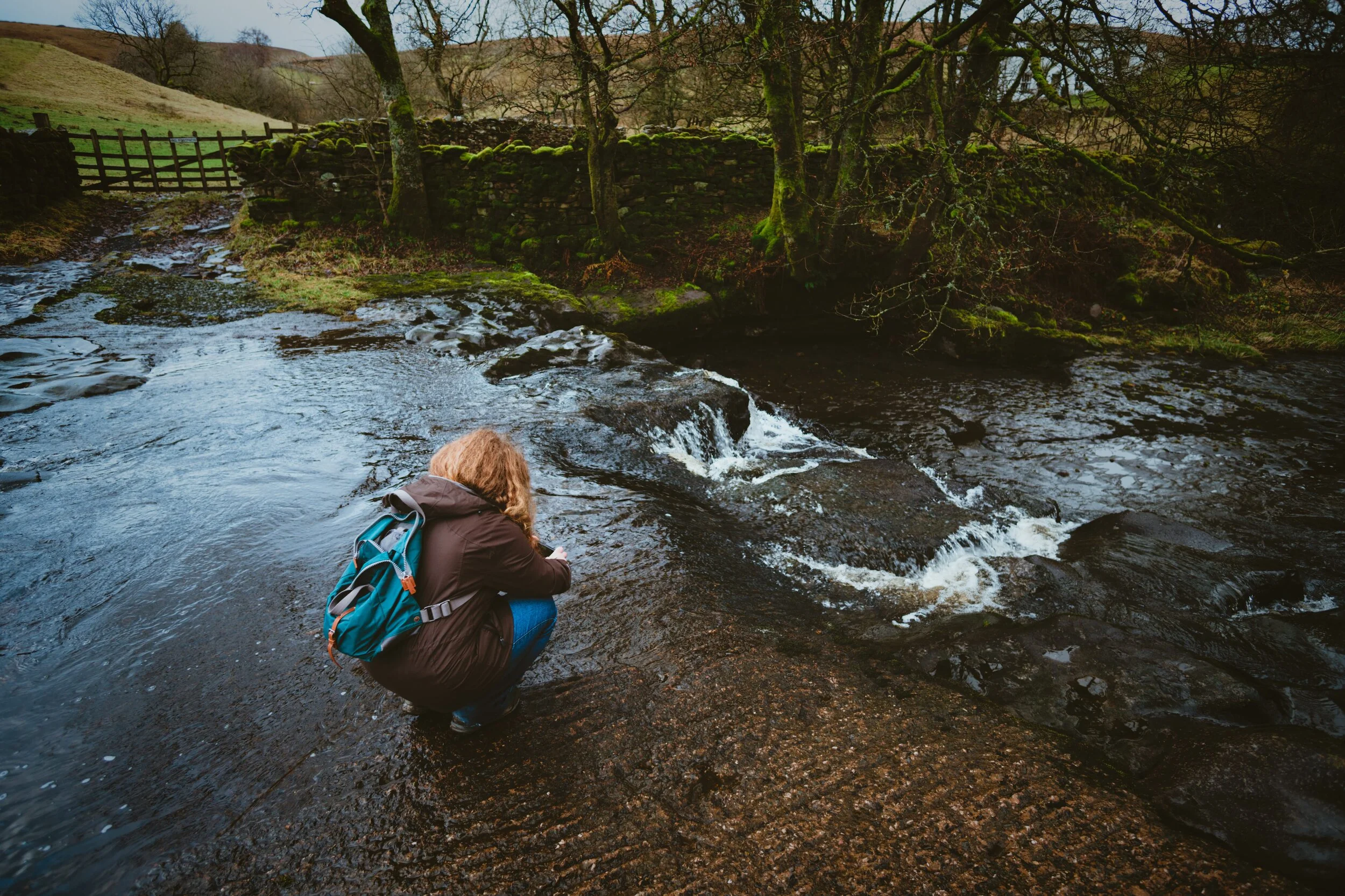 Dentdale 04