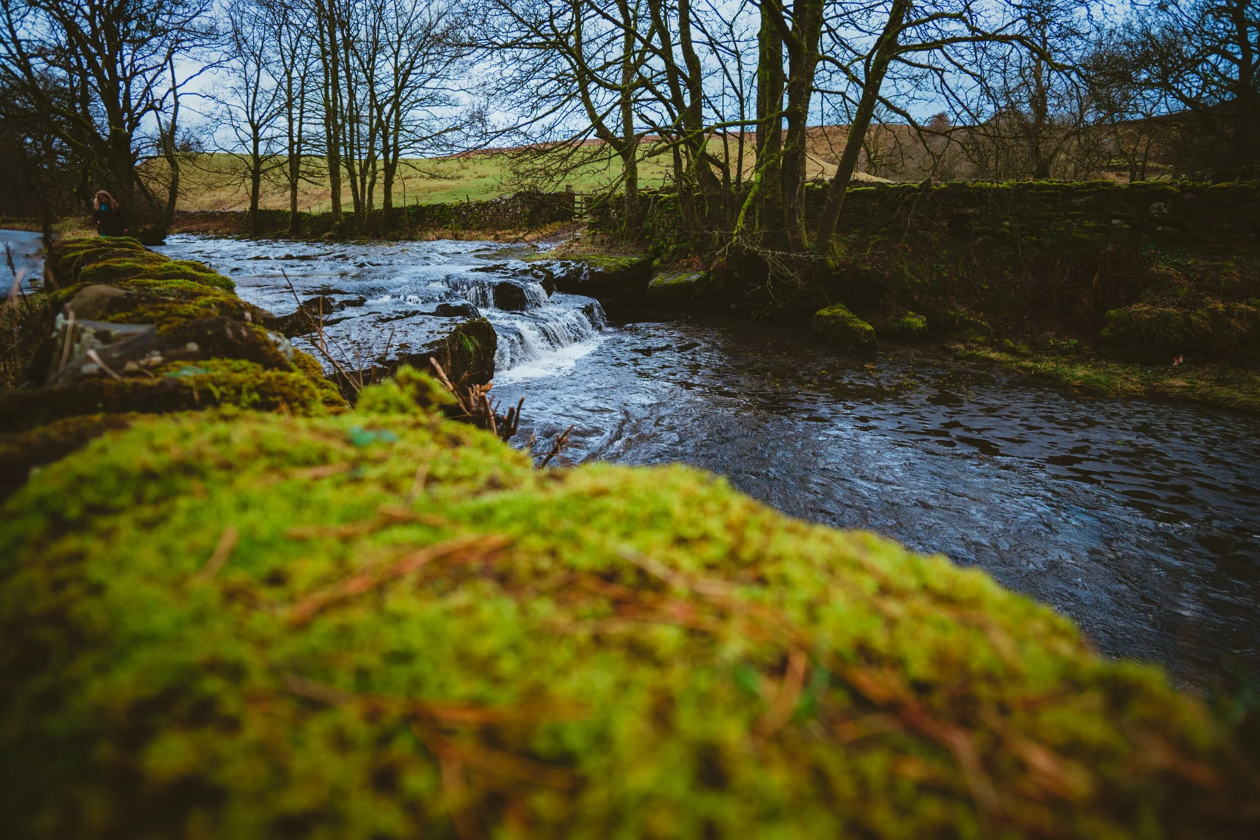 Dentdale 05