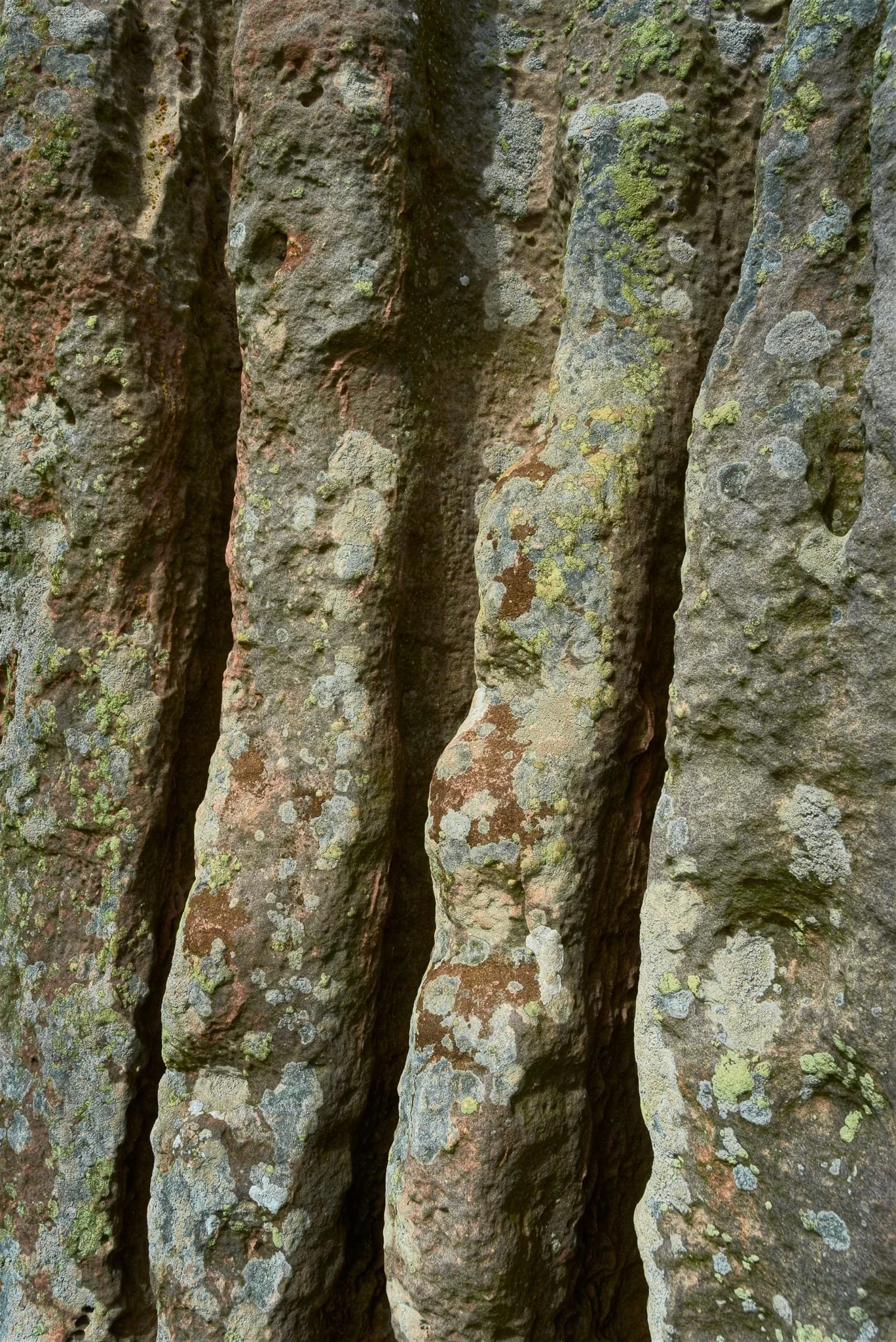 Some of the patterning on the stones are a lot more geometric than you would expect.