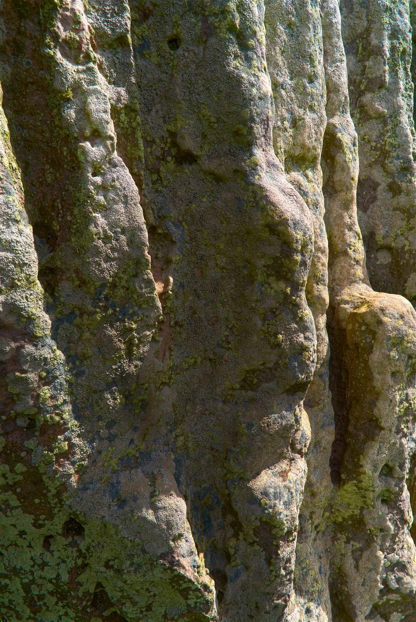 A brief moment of strong light pulls out the texture in this stone.