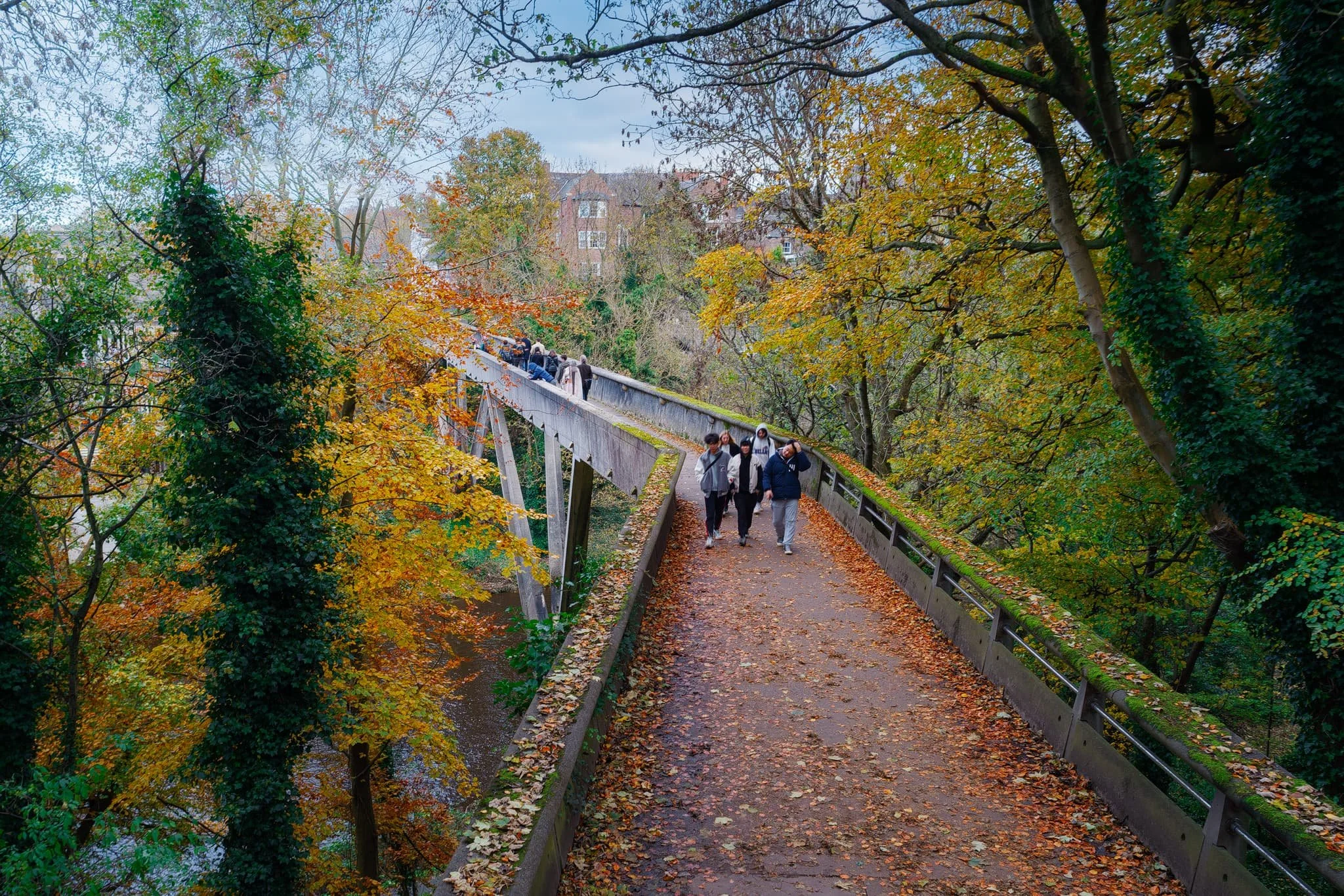 Durham 17_Small