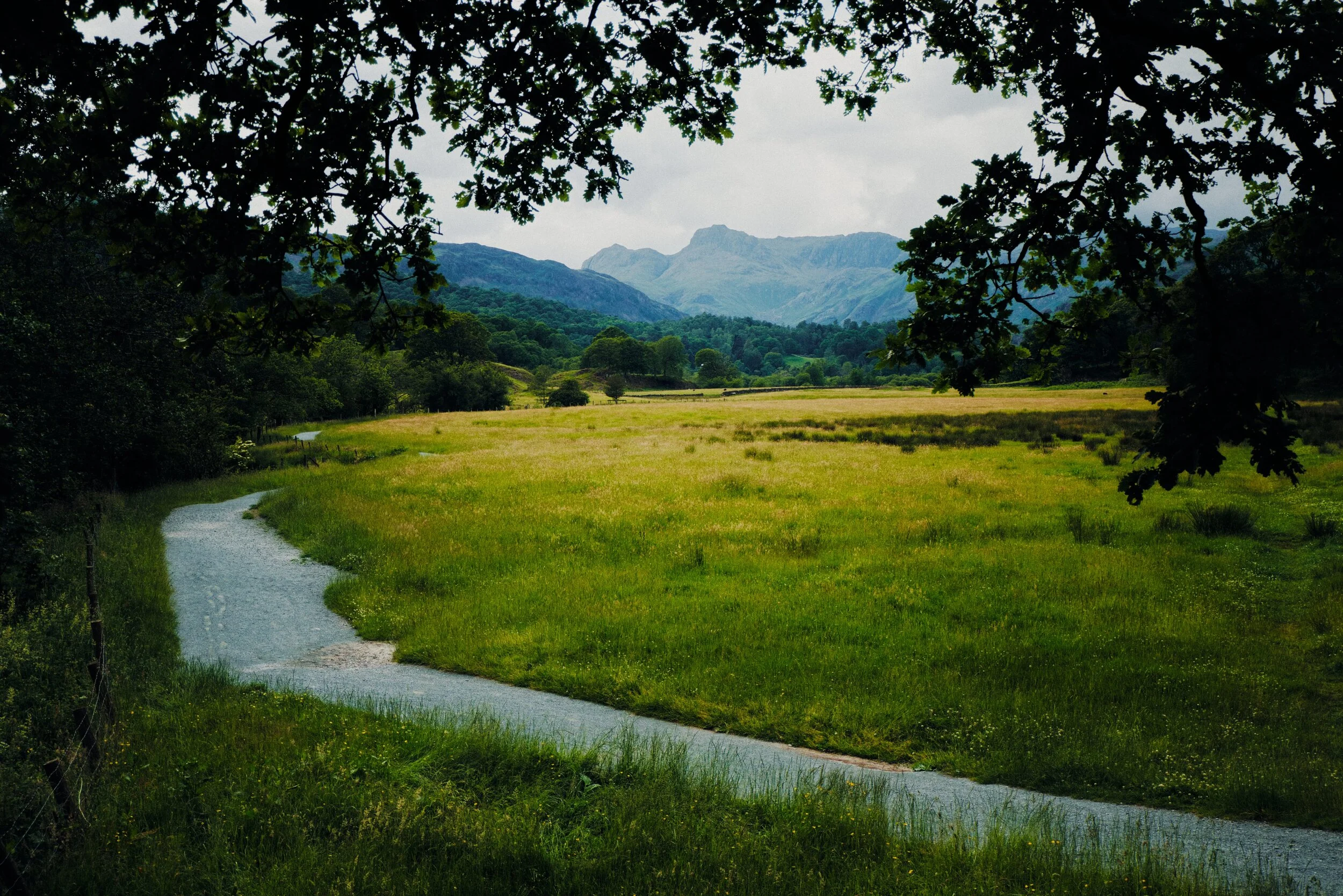 The astonishing view you get when exiting Force How Woods from Skelwith Bridge. The open fields of Birk Rigg Park and the magnificent peaks of the Langdale Pikes.