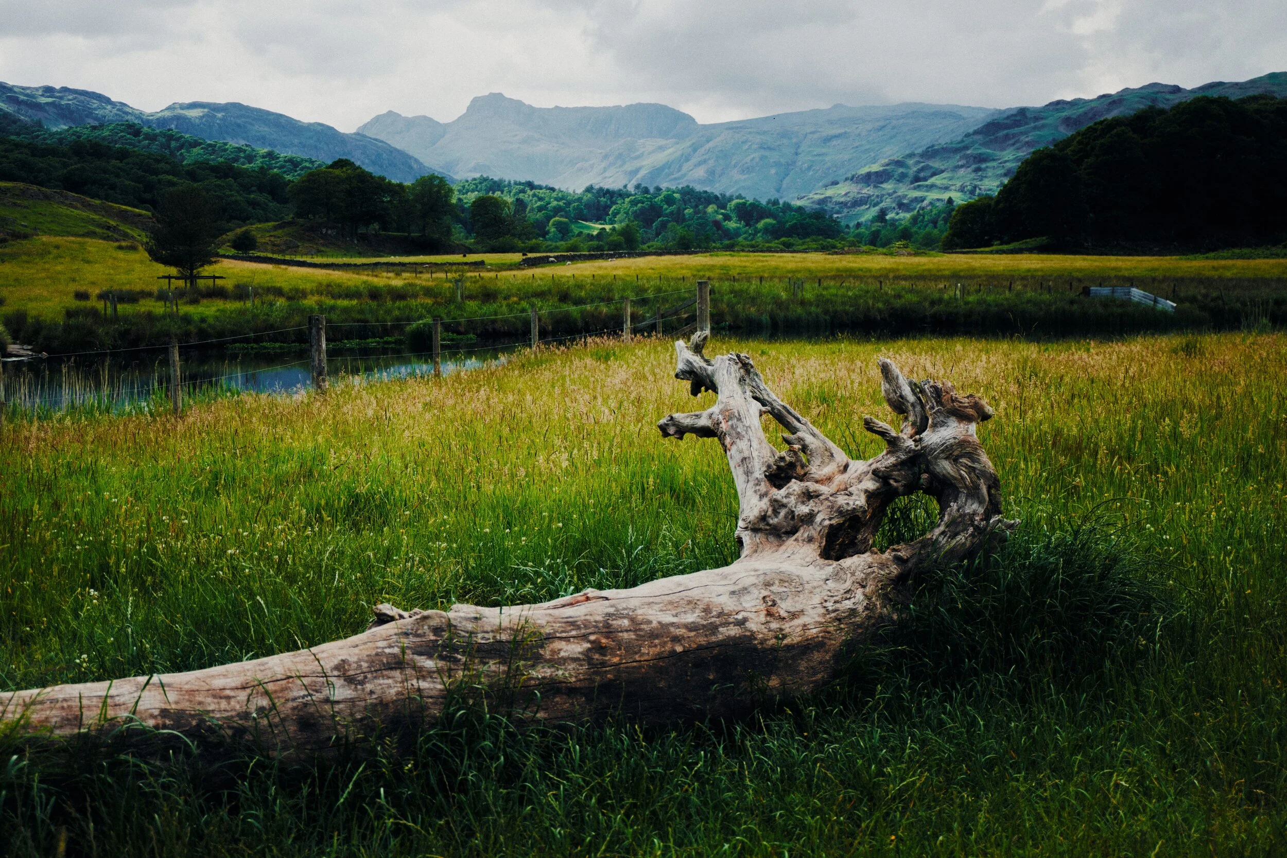 It’s hard to stop shooting compositions involving the Langdale Pikes around here.