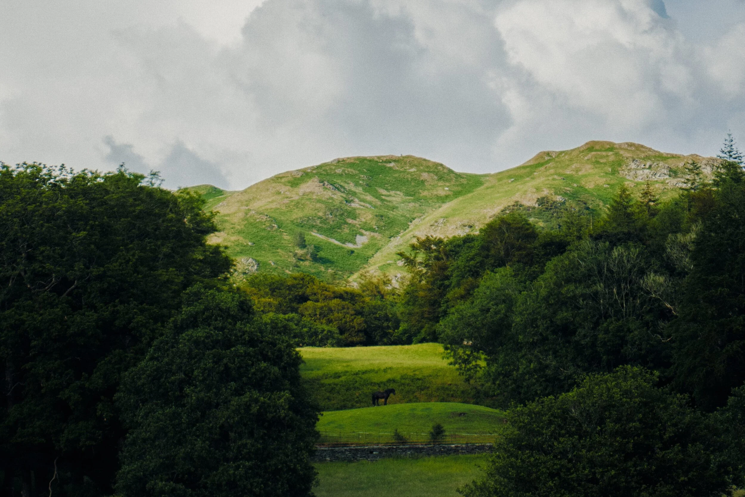 I spotted this composition in the distance and though my main lens only zooms in to 50mm I had to try and shoot it anyway. A lone horse in between the woods with the crags of Loughrigg Fell above. I had to crop in quite a lot.