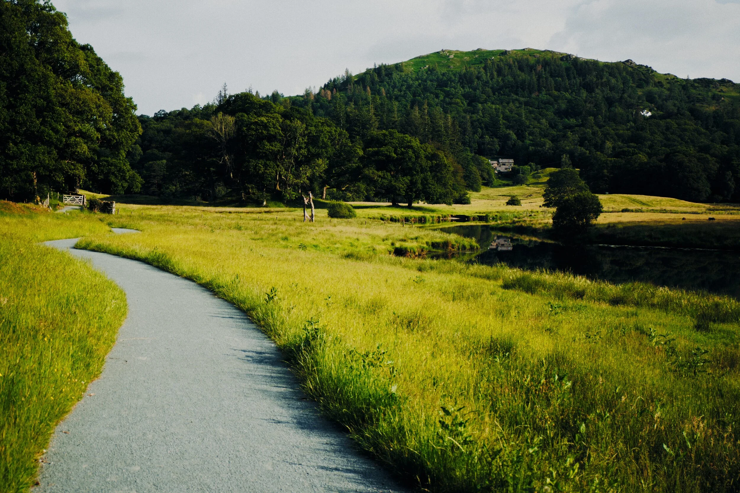 The way back to Skelwith Bridge, with the sun start to dip and giving us those deliciously long shadows and warm light.