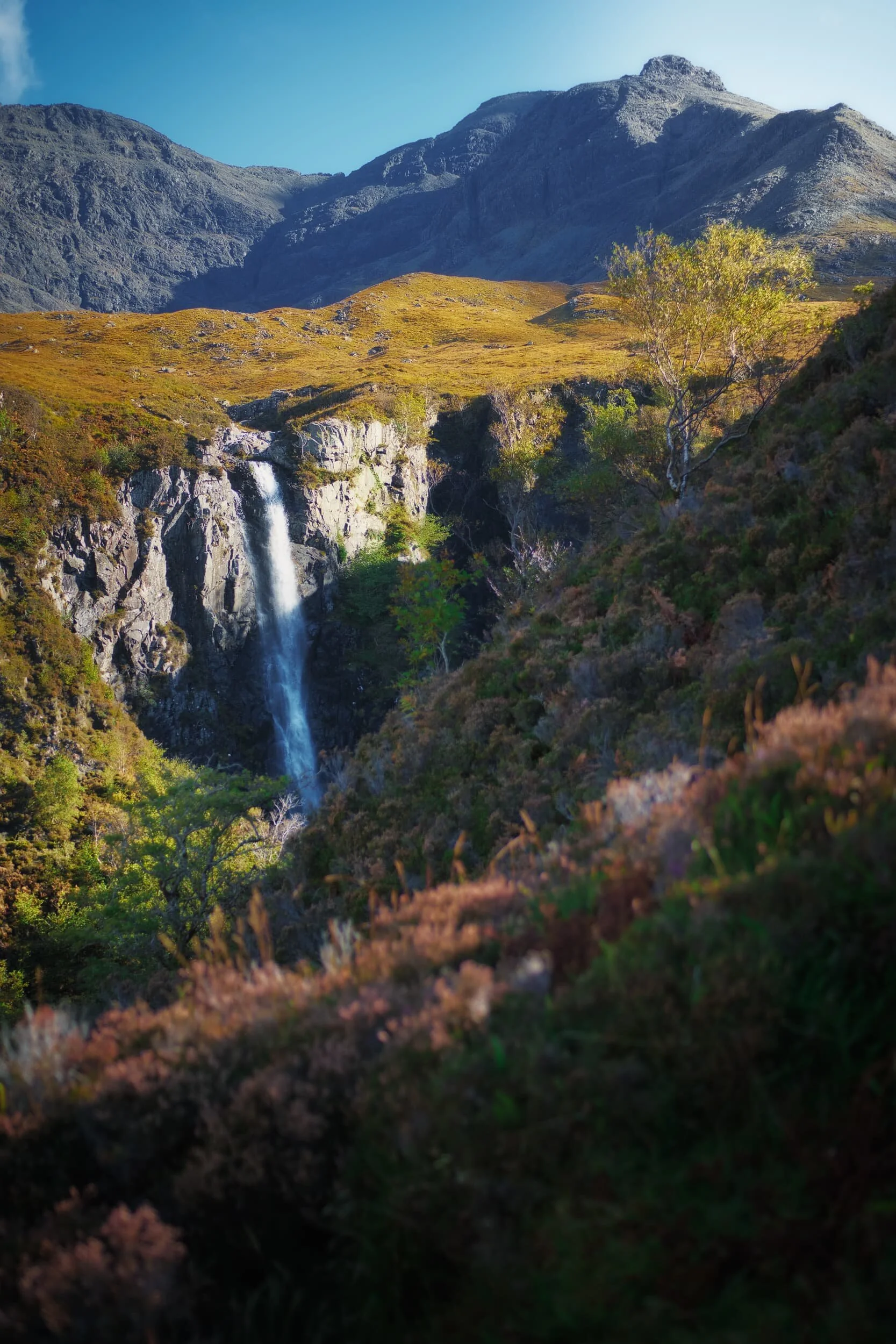 The last of the season’s heather provides a nice colour contrast against all the greens and golds. The top of Eas Mòr catches the light before plunging 154 ft into the gorge. Above, the peak of Sgùrr Dearg (985.8 m/3,234 ft, meaning “Red peak”) dominates.