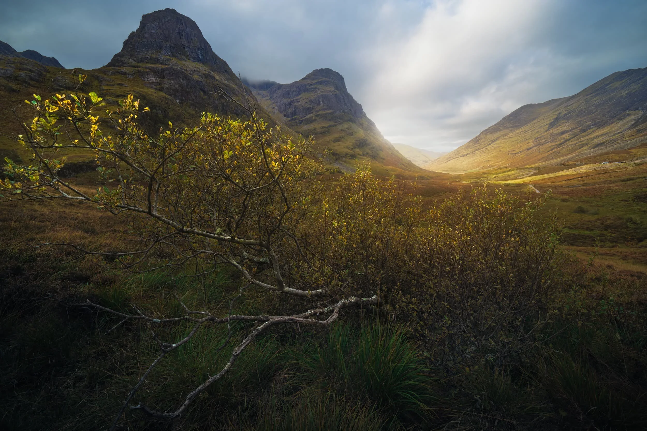 A true autumnal scene of Glencoe, looking westwards with Gearr Aonach and Aonach Dubh on the left and Aonach Eagach on the right.