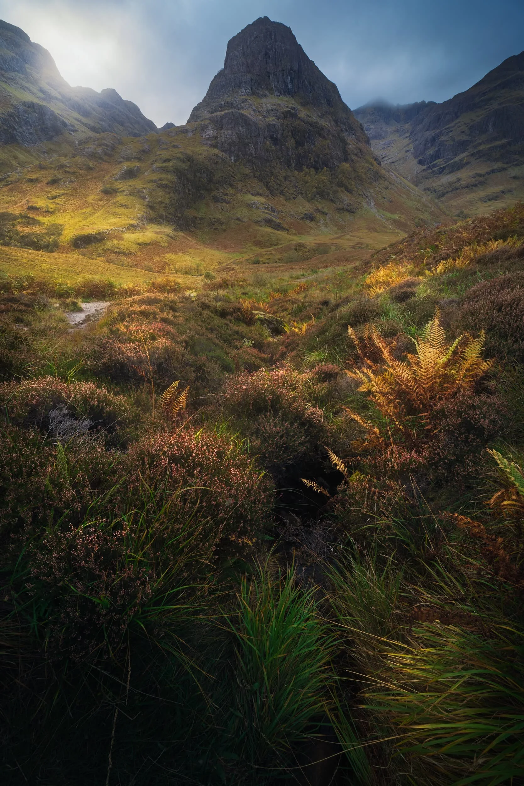 Trying to capture the mosaic of colours on the valley floor, looking centrally towards Gearr Aonach .