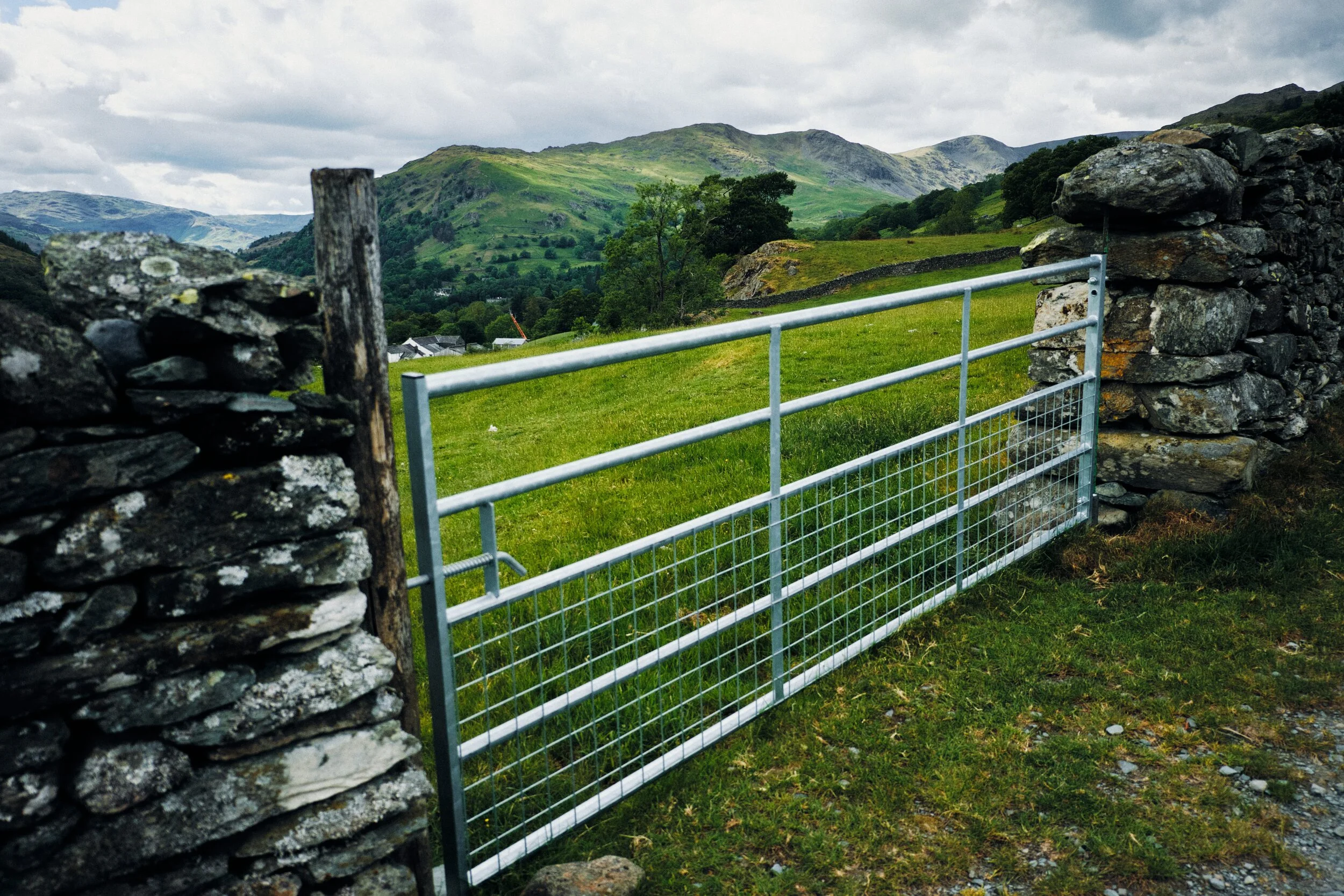 A gated field offers a view beyond to Nab Scar (455 m/1,493 ft), Heron Pike (612 m/2,008 ft), and Great Rigg (766 m/2,513 ft).
