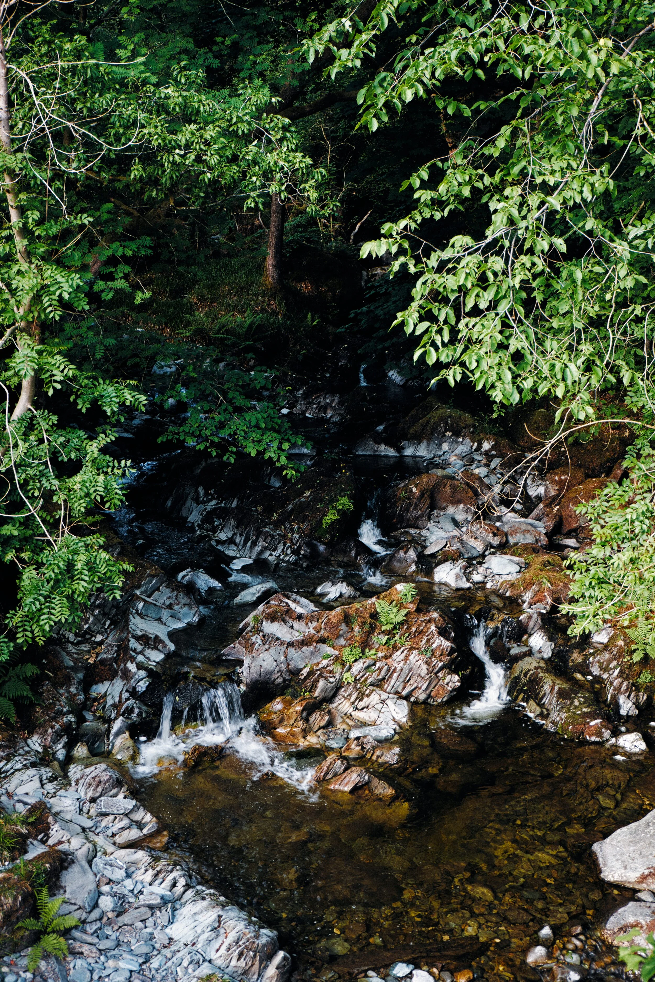 A lovely little scene from Low Sweden Bridge as Scandale Beck cascades down a variety of falls.