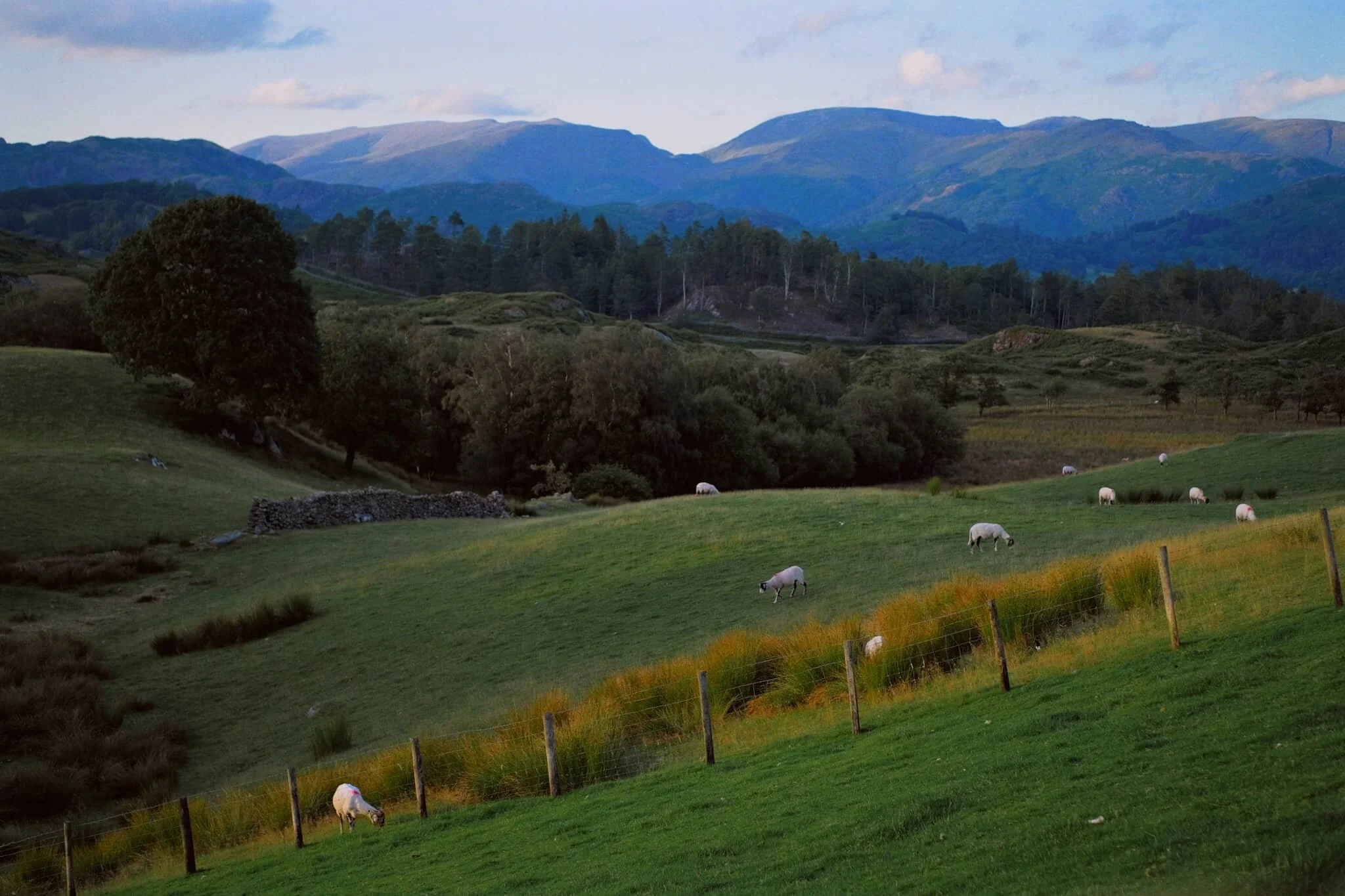 The nice thing about retracing the route back was enjoying the views in reverse with even better light.