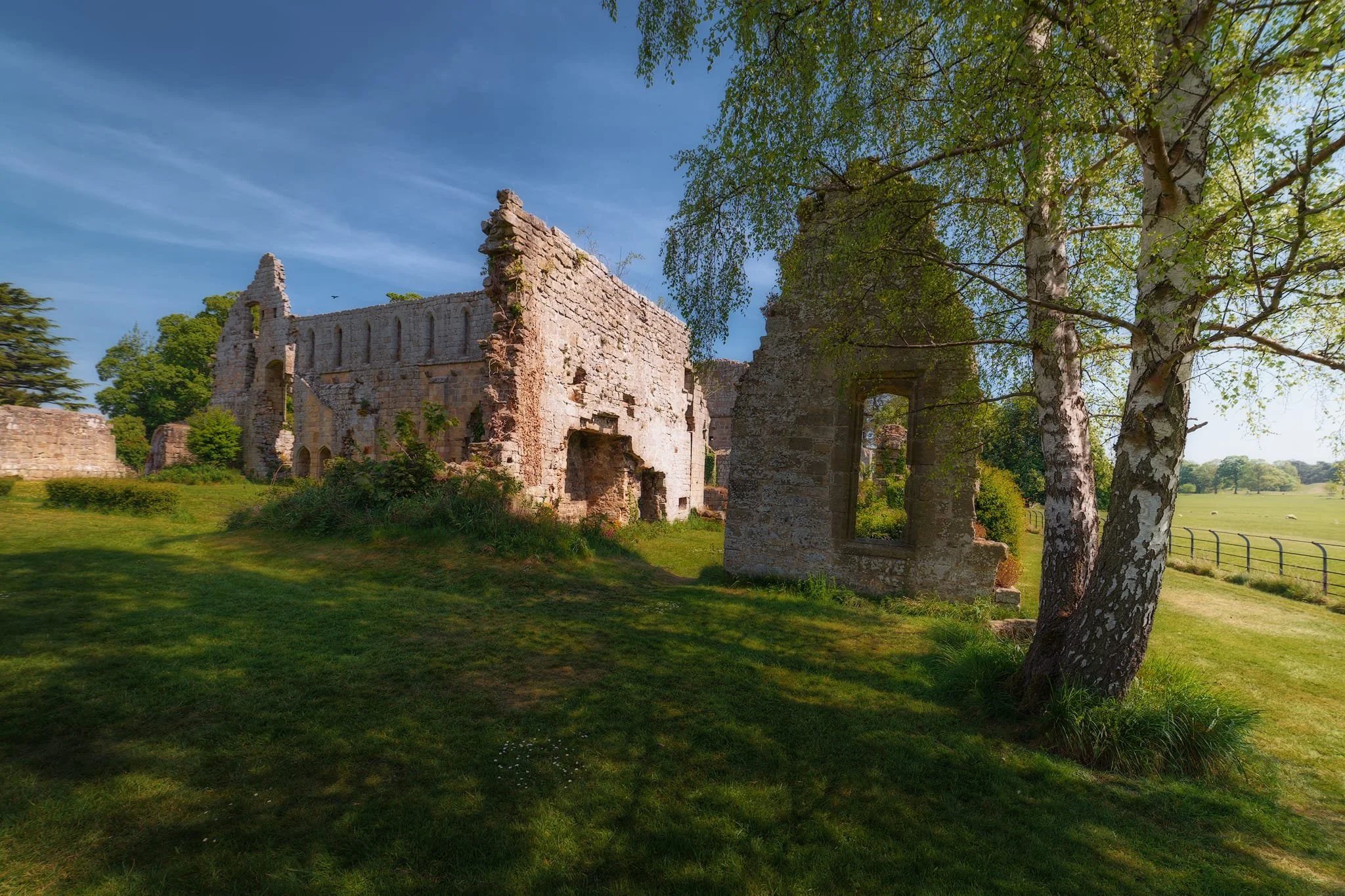 From the western end of the ruins near the entrance, looking east. I was looking for a composition that situated the ruins in context, and found this beautifully bucolic scene from near Jervaulx Park.