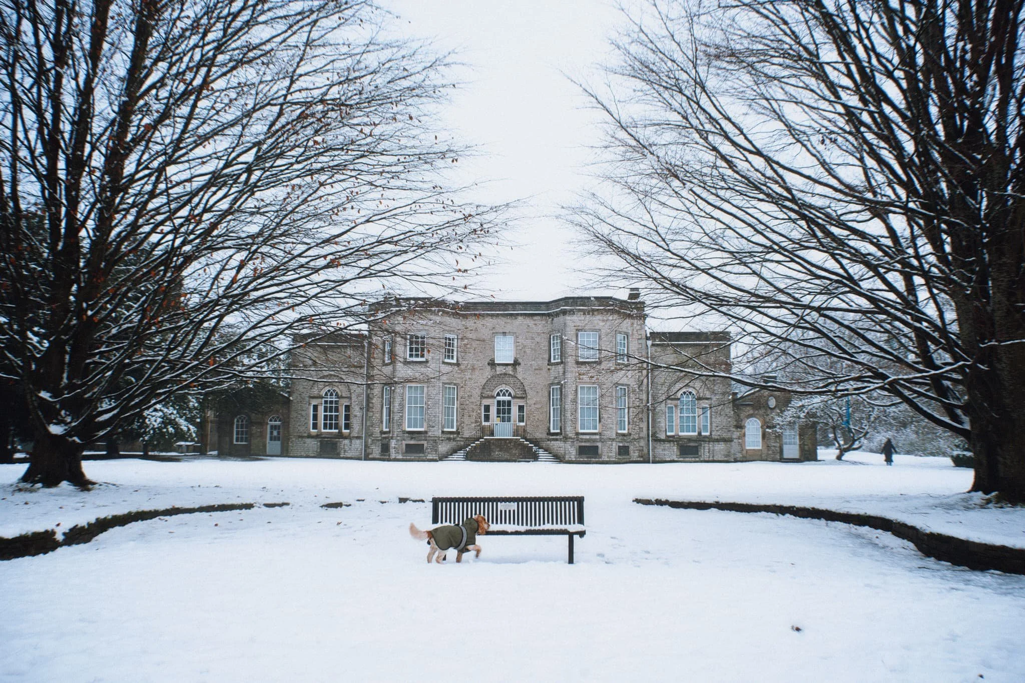 Abbott Hall, its grounds covered in snow. I love the symmetry of this composition.