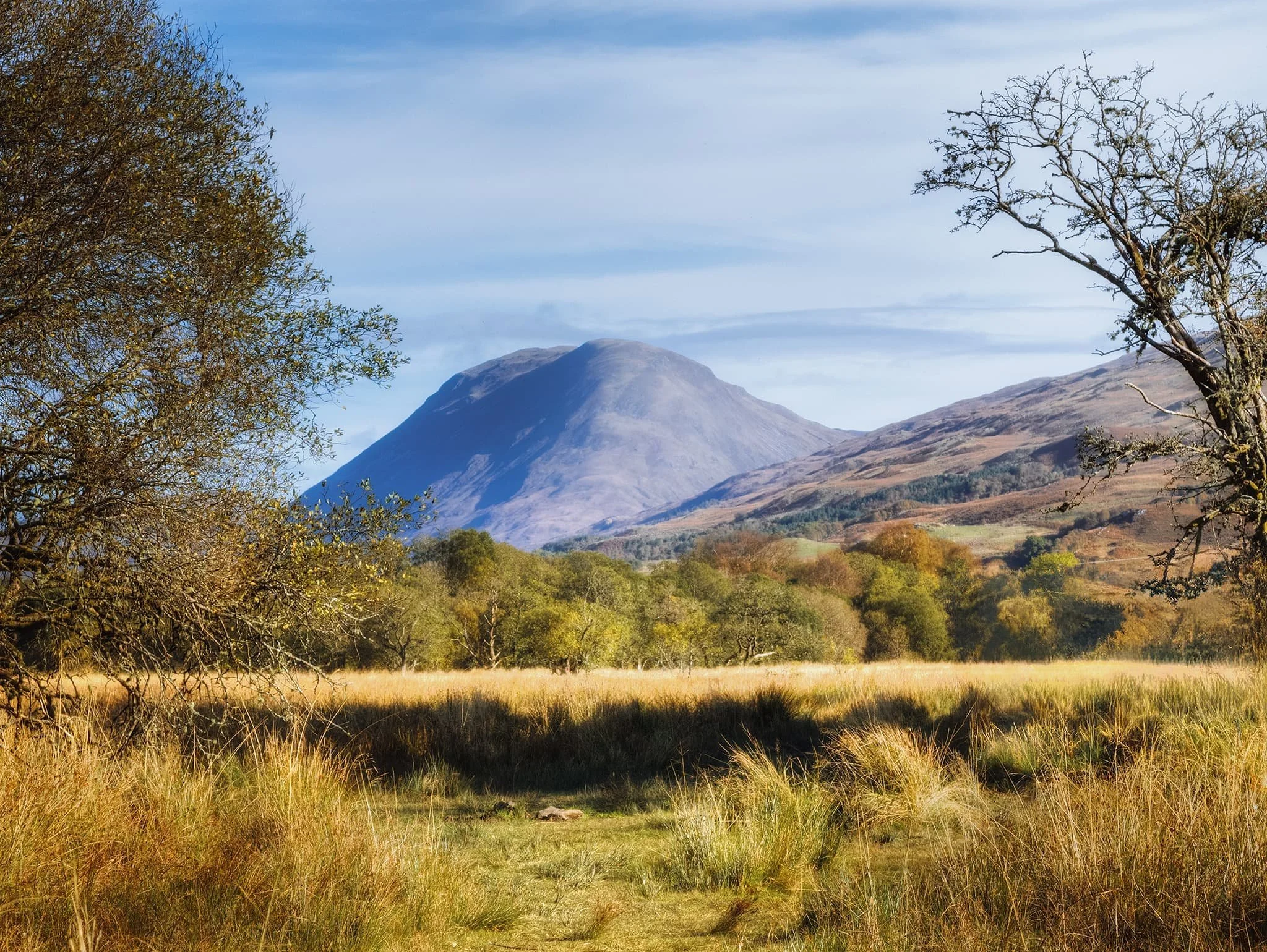 Using my Pixel’s 5x lens I zoom in nice and tight on Beinn Mhic-Mhonaidh (796 m/2,612 ft), using two trees as a framing device.