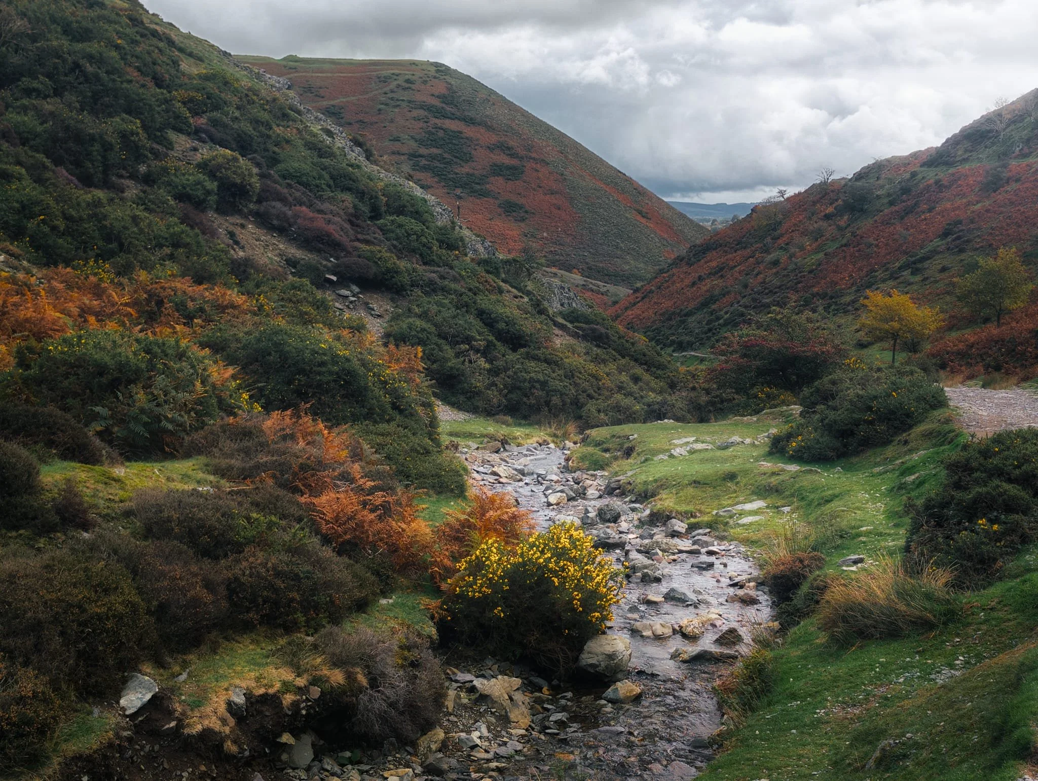 Higher we go as near the junction west towards Lightspout waterfall. Beautiful autumnal colours everywhere, including some stubborn gorse.