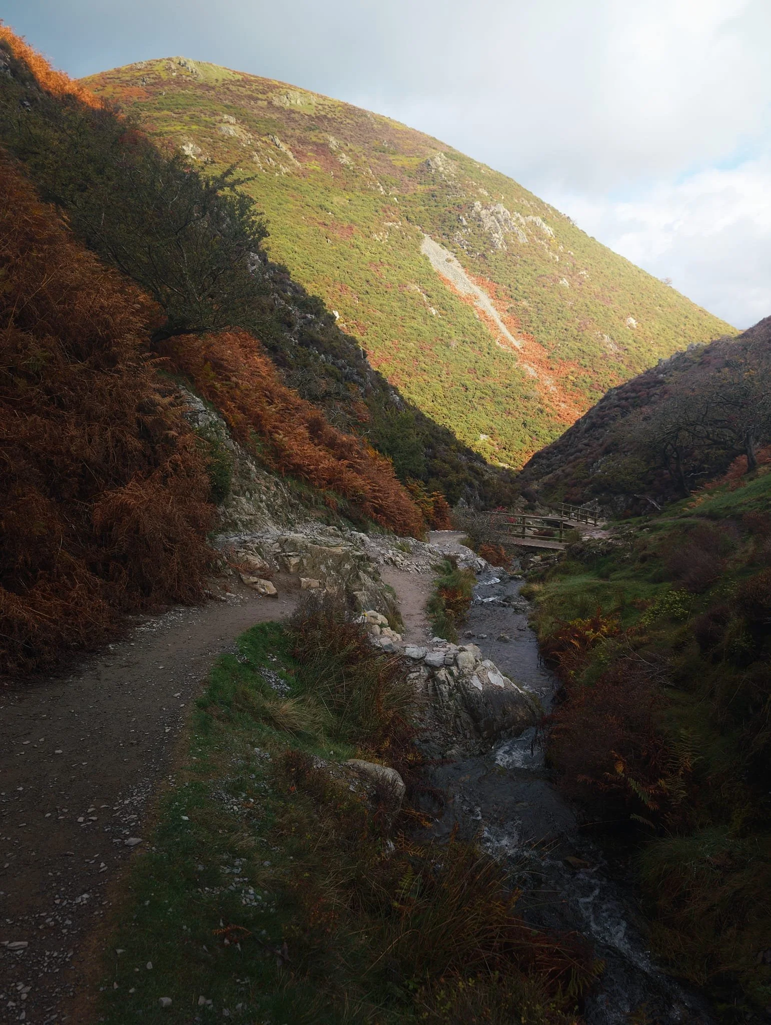 The going up Light Spout Hollow is short yet steep, with a couple of “bad steps” you need to navigate. However, the views back down are terrific. Here, looking back down the ravine sees Haddon Hill bathed in autumnal light.