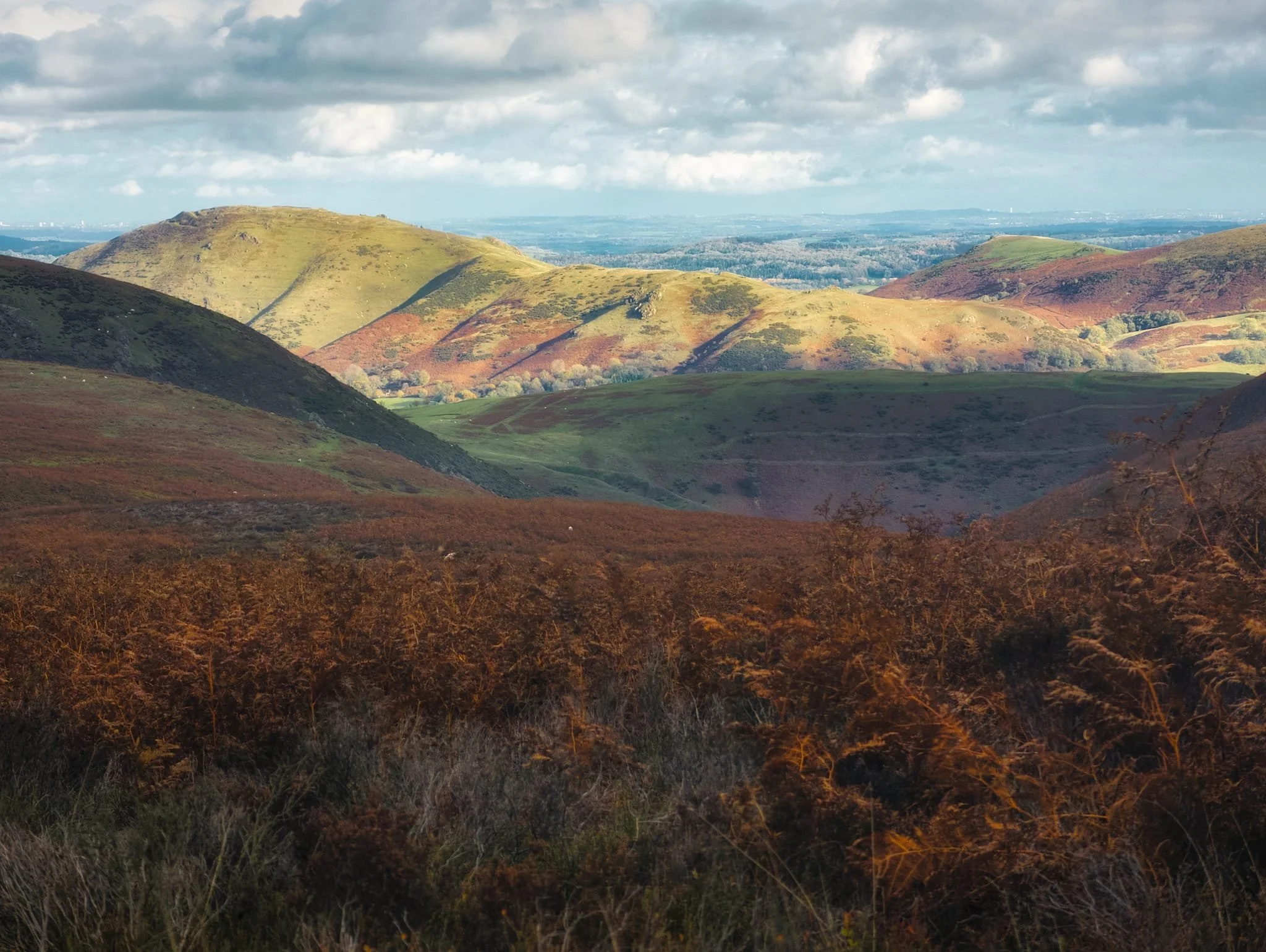 Rather than navigating the ravine back down, we instead continued onwards onto the broad plateau of the Long Mynd. Here, the views really open up. The Long Mynd just means “long mountain”, probably of Brittonic origin, as this broad upland plateau is 7 miles long. Whilst a dark cloud started to pass over us, the light beamed across the valley and illuminated the shape of Caer Caradoc (459 m/1,506 ft).