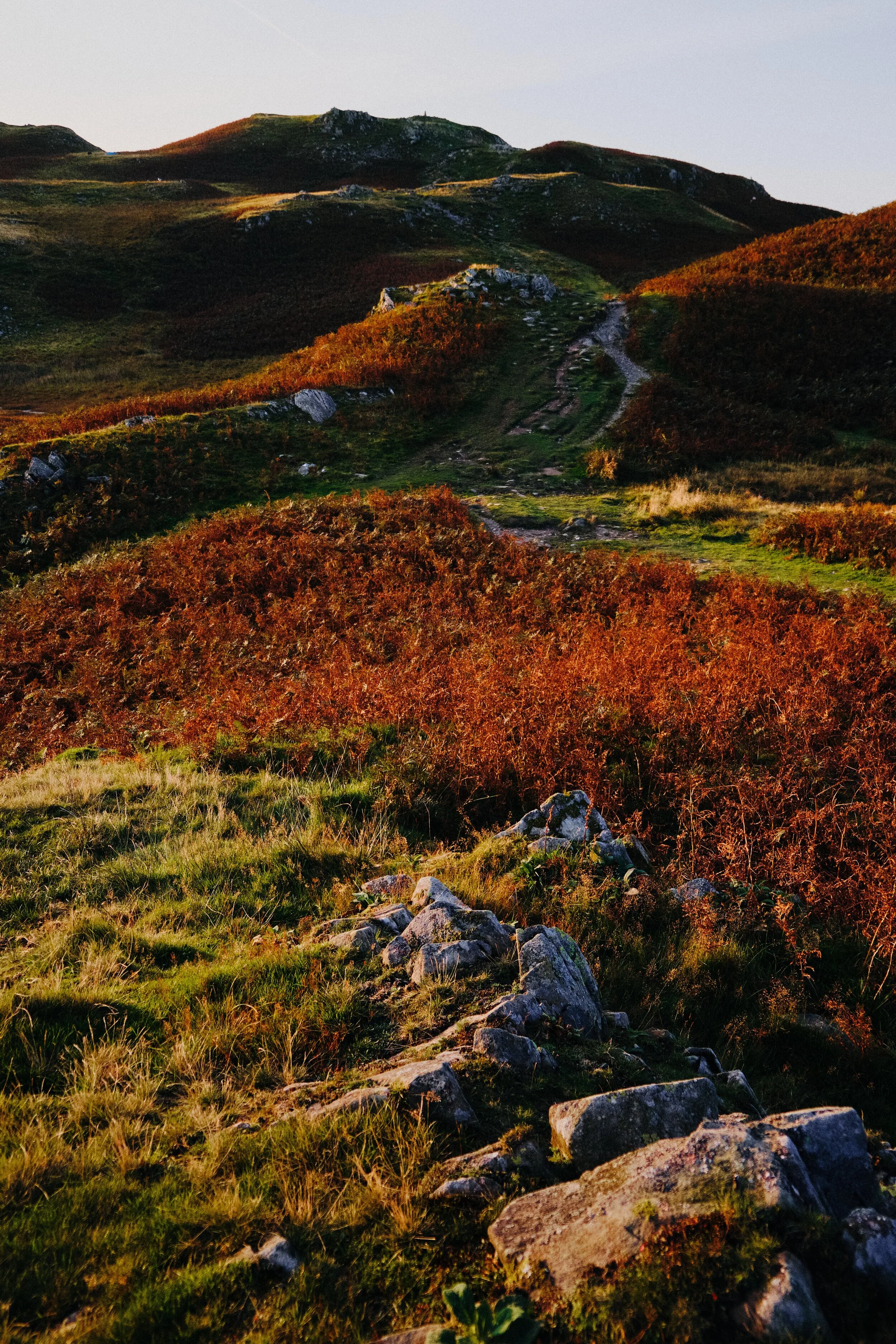 Looking up the undulating folds towards the summit of Loughrigg, marked by a trigpoint.