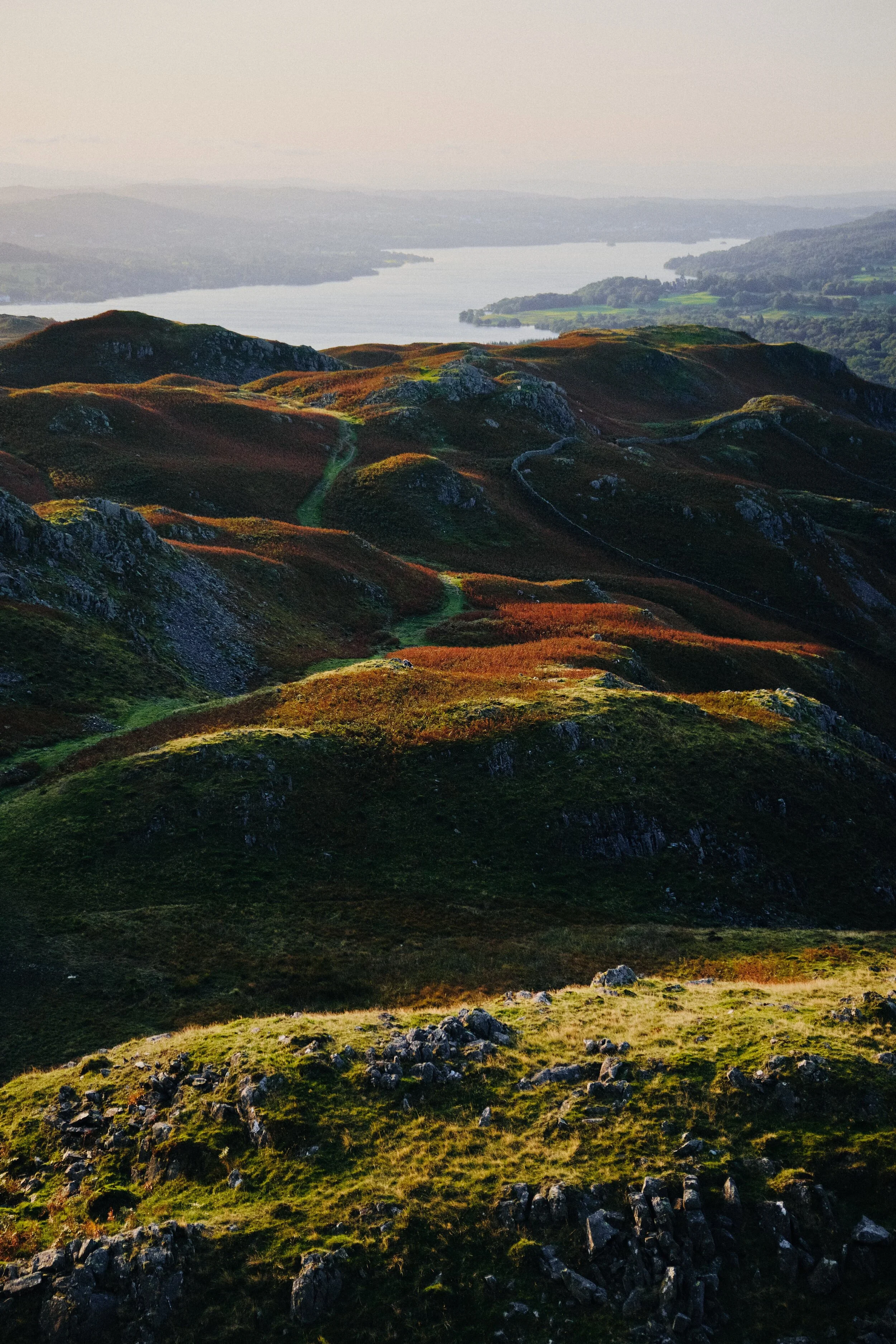 The rolling craggy landscape of Loughrigg as the walking trails meander towards Windermere.