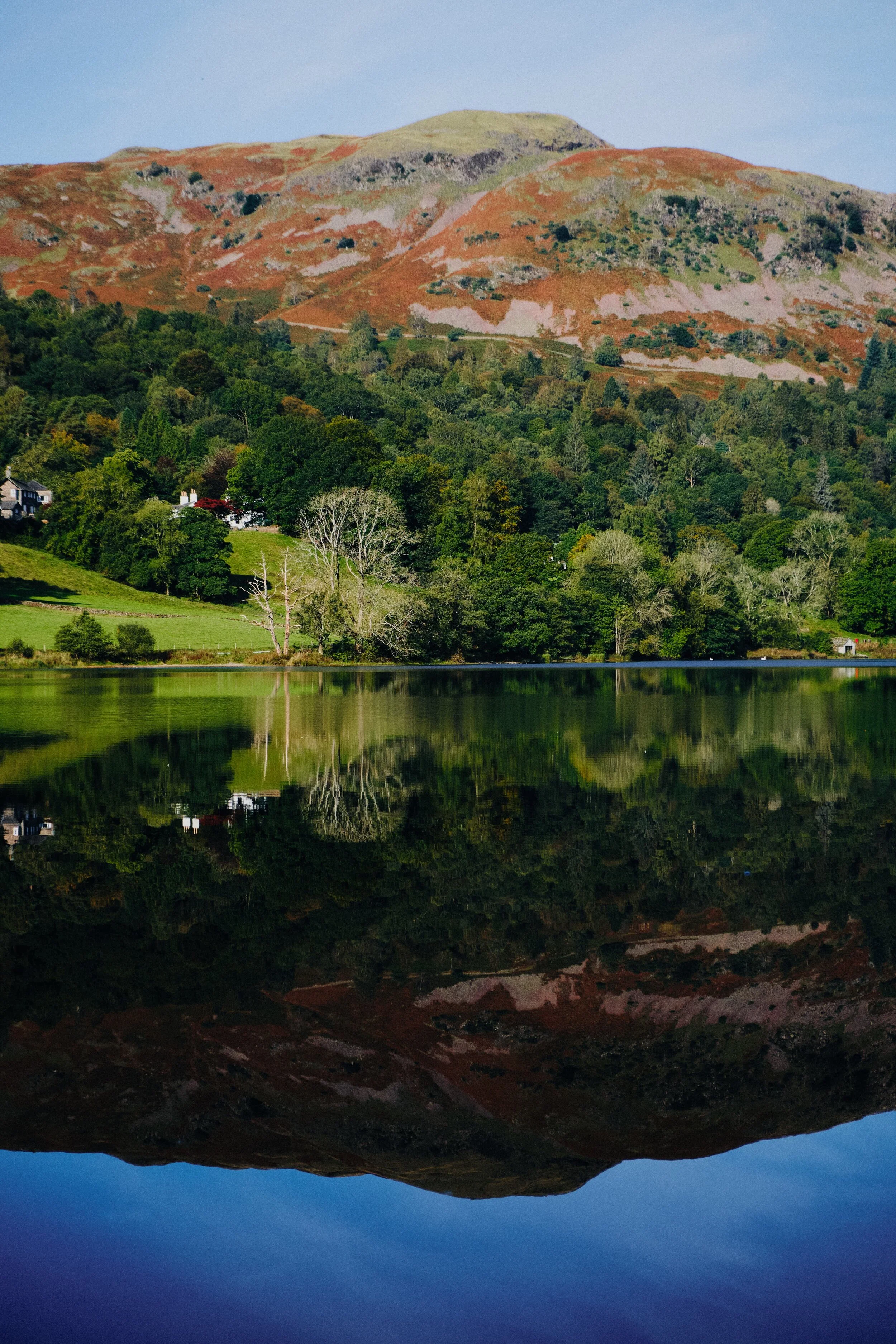 In Penny Wood we notice that Grasmere is offering some crisp reflections of Silver How, which clamber down to get shots of.