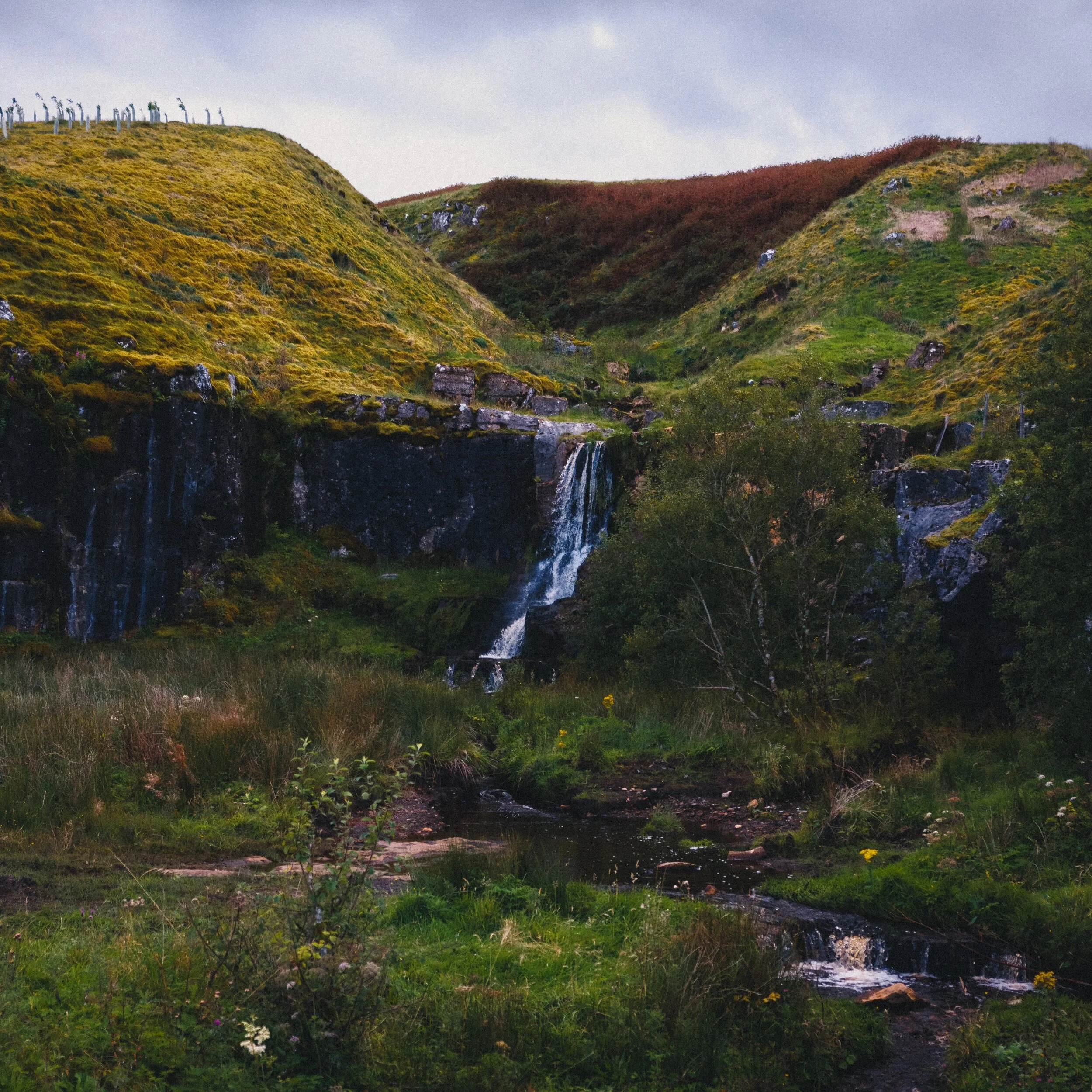 A nice little waterfall near Cotegill Bridge, with some rather vivid yellow spongey moss everywhere.