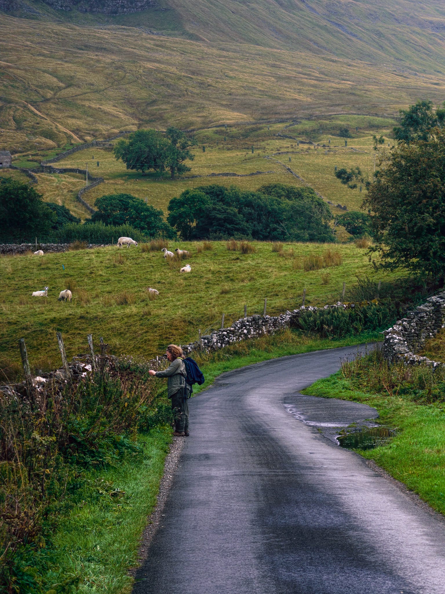 After enjoying the atmosphere of the ruins it was time to locate the Pendle Bridleway towards our next destination. I snapped this composition for scale with my lovely Lisabet taking a snap and the Mallerstang wall of fells rising above in the distance.