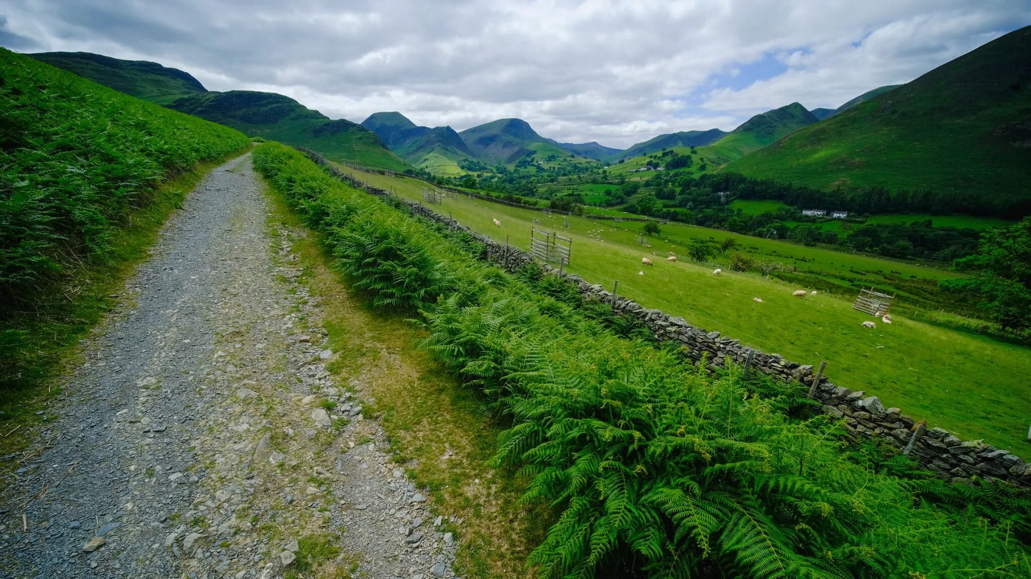 An ultra-wide perspective of our way forward as the Newlands valley opens up.